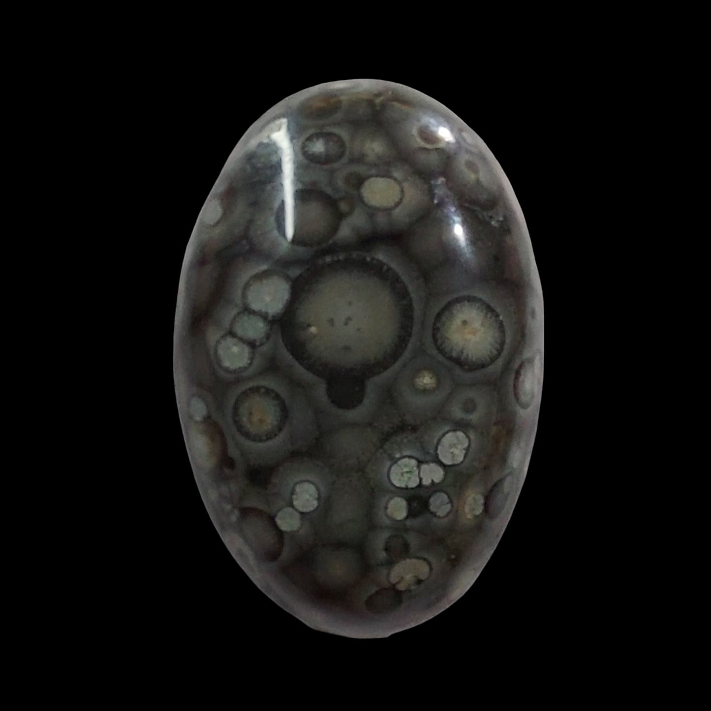 21ct Orbicular Rhyolite cabochon - Brighton Gemstones