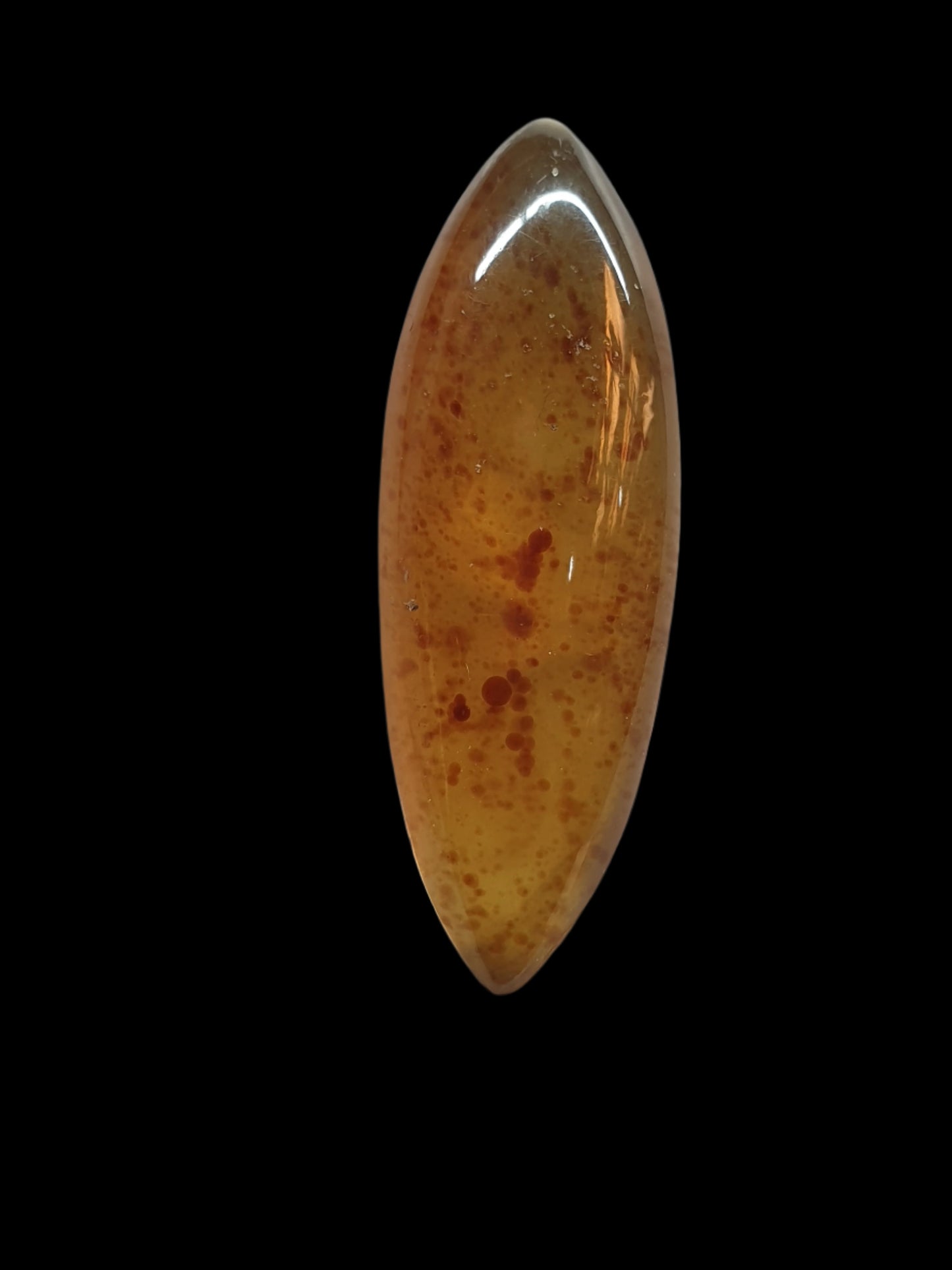 9ct Indonesian Amber Cabochon - Brighton Gemstones