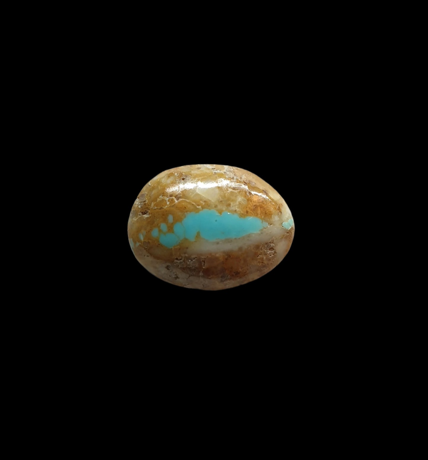 9.6ct Kingman ribbon turquoise freeform cabochon Backed - Brighton Gemstones