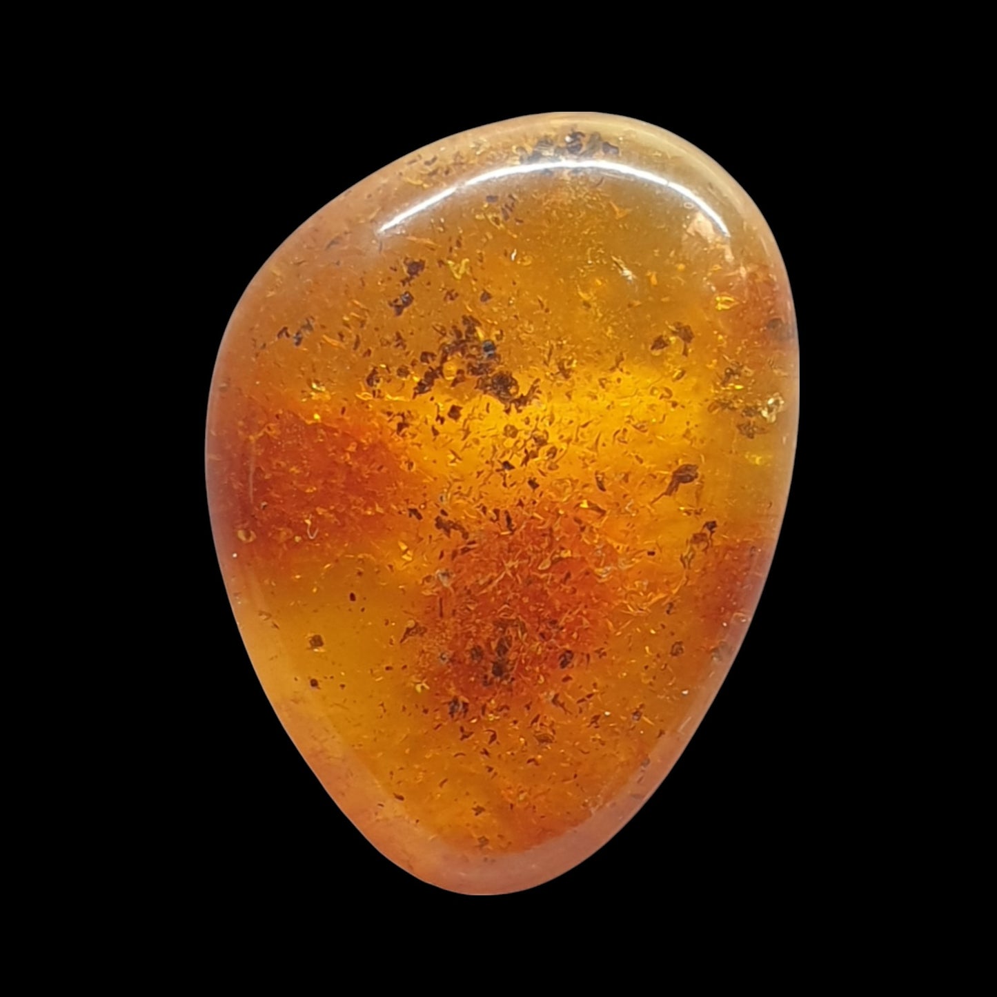 Baltic amber cabochon - Brighton Gemstones