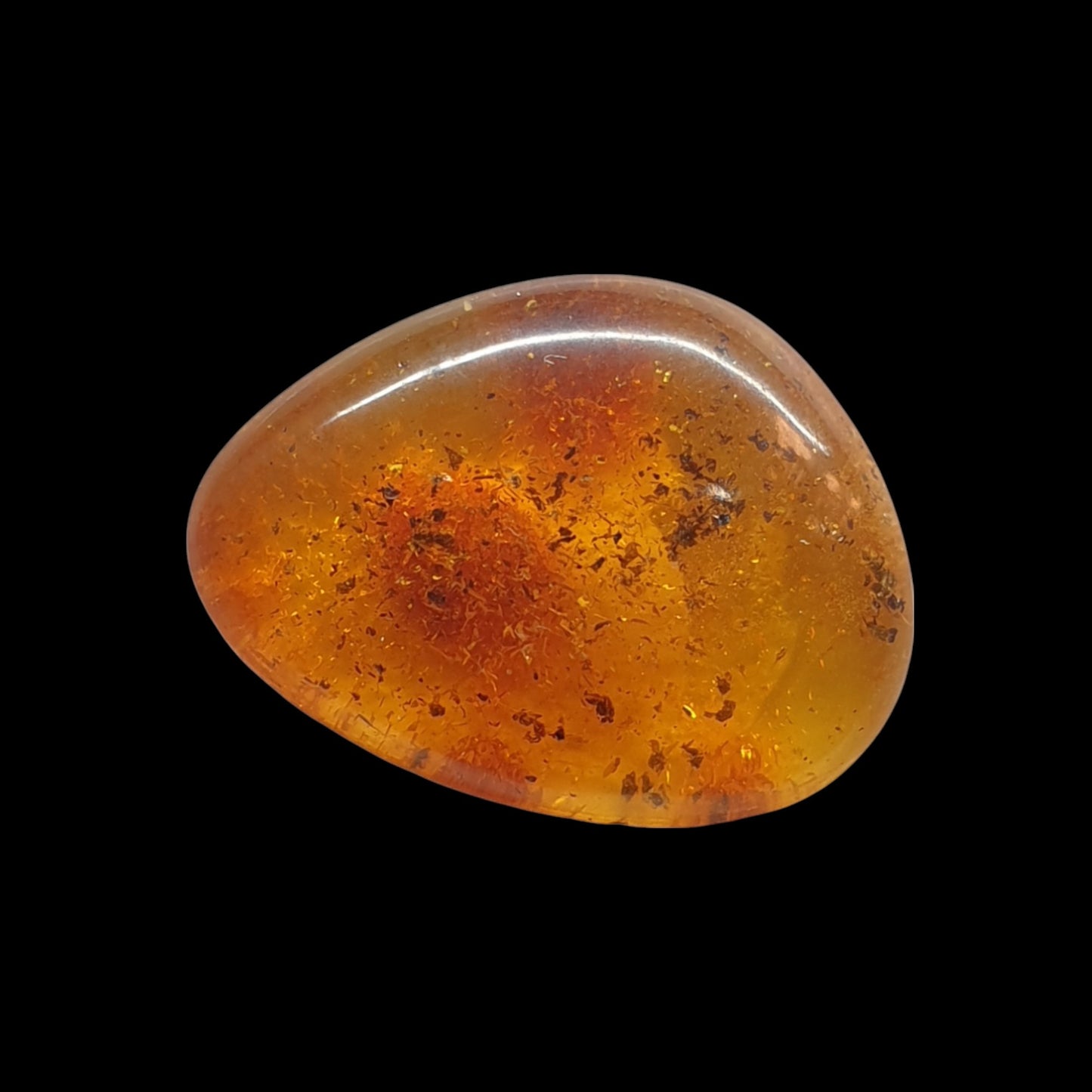 Baltic amber cabochon - Brighton Gemstones
