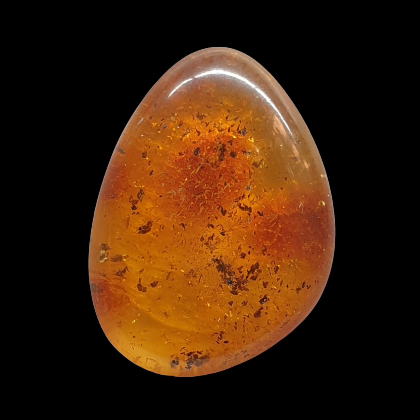 Baltic amber cabochon - Brighton Gemstones