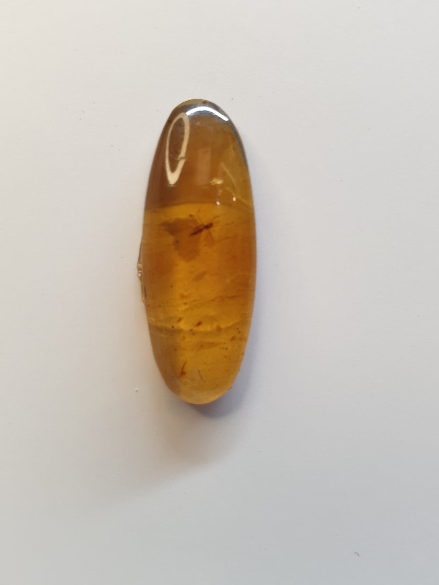 Burmese amber cabochon with fly inside - Brighton Gemstones
