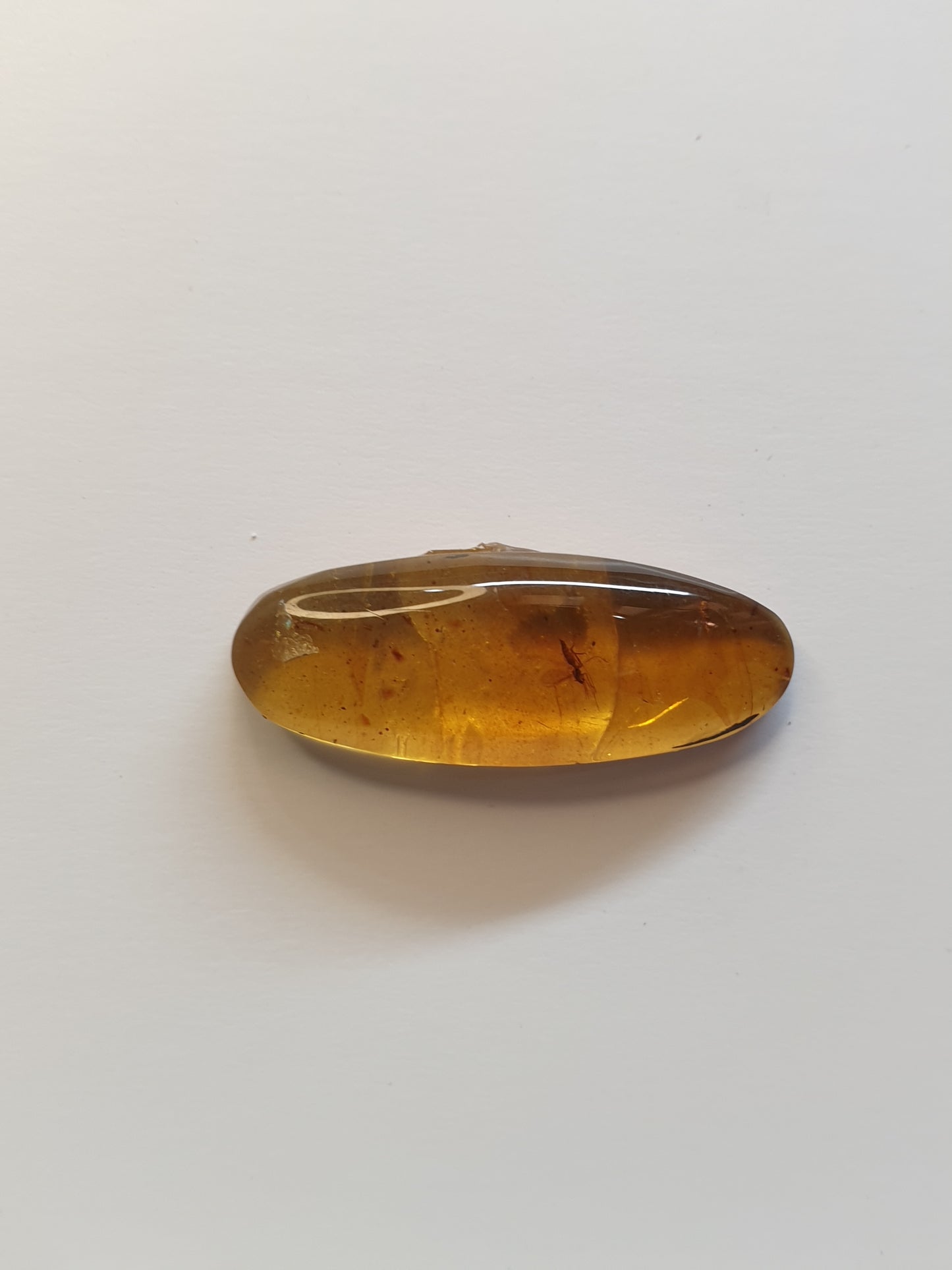 Burmese amber cabochon with fly inside - Brighton Gemstones
