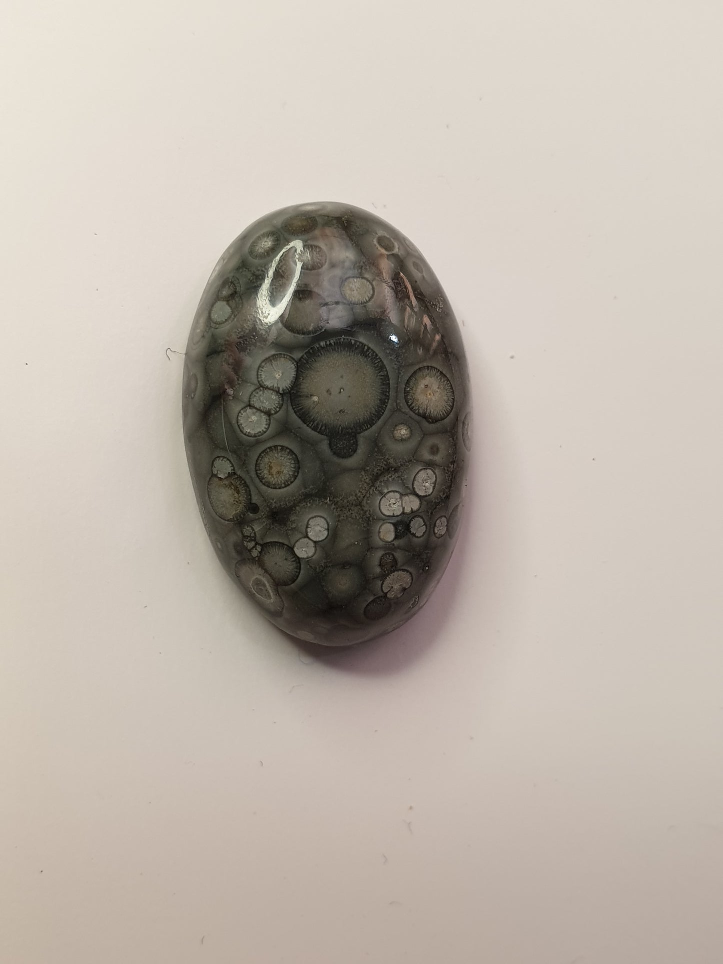 21ct Orbicular Rhyolite cabochon - Brighton Gemstones
