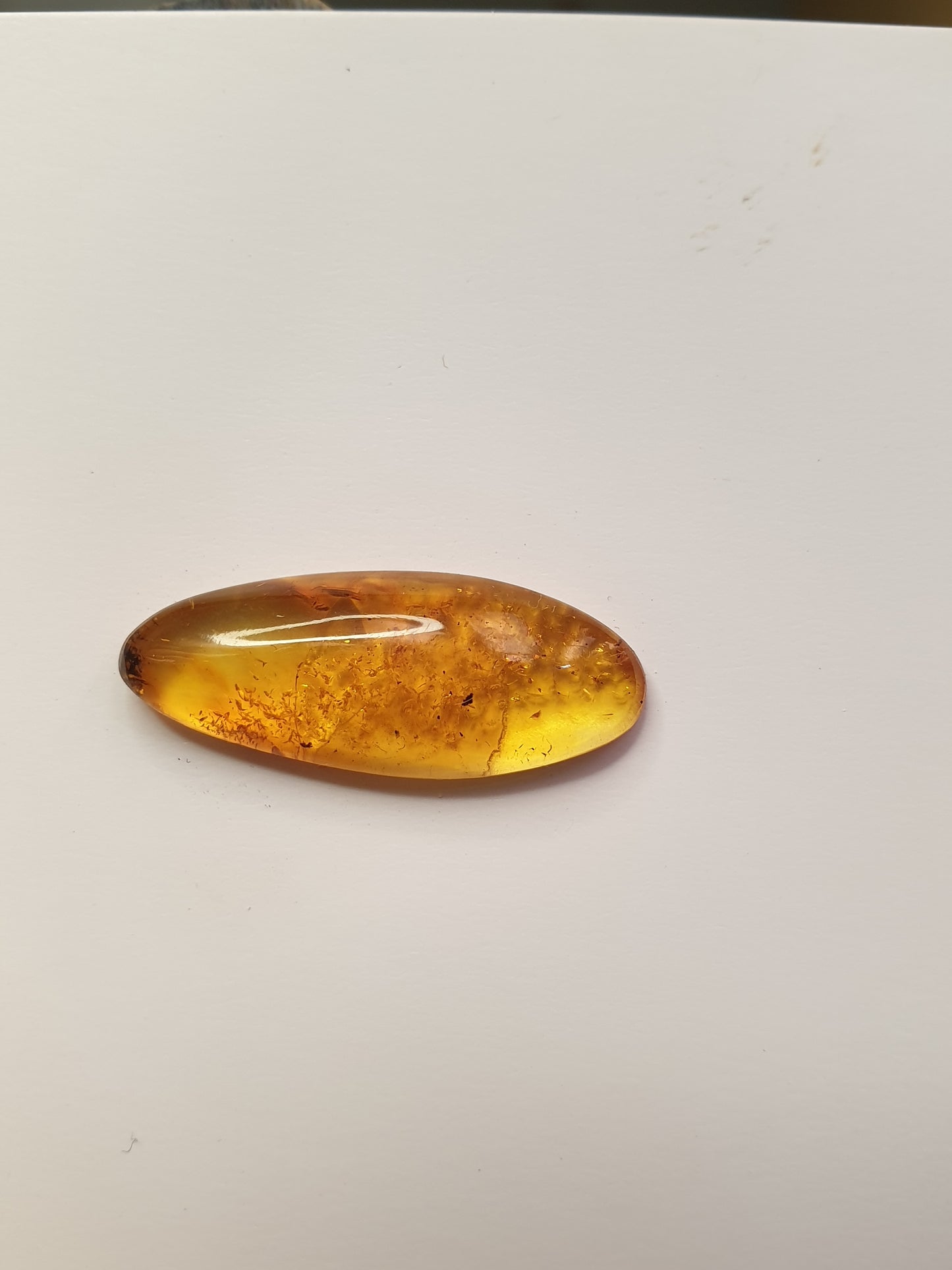 Baltic amber cabochon - Brighton Gemstones