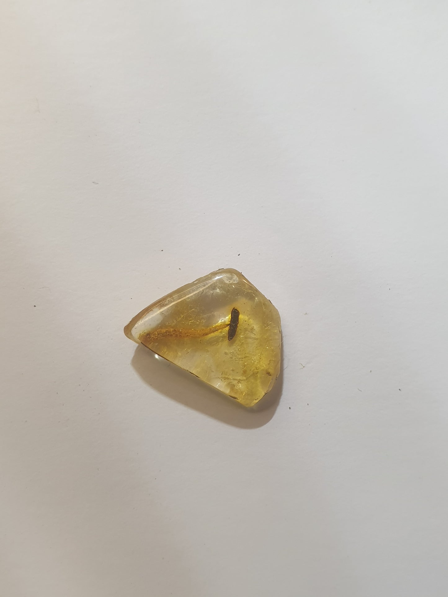 Copal with flower stamen inclusion ( amber)
