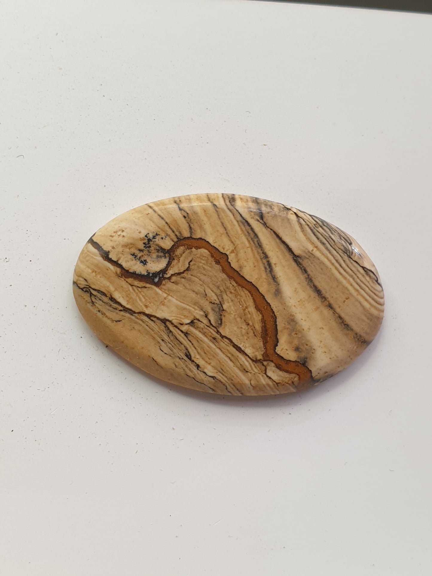 18.5ct Biggs Picture Jasper cabochon