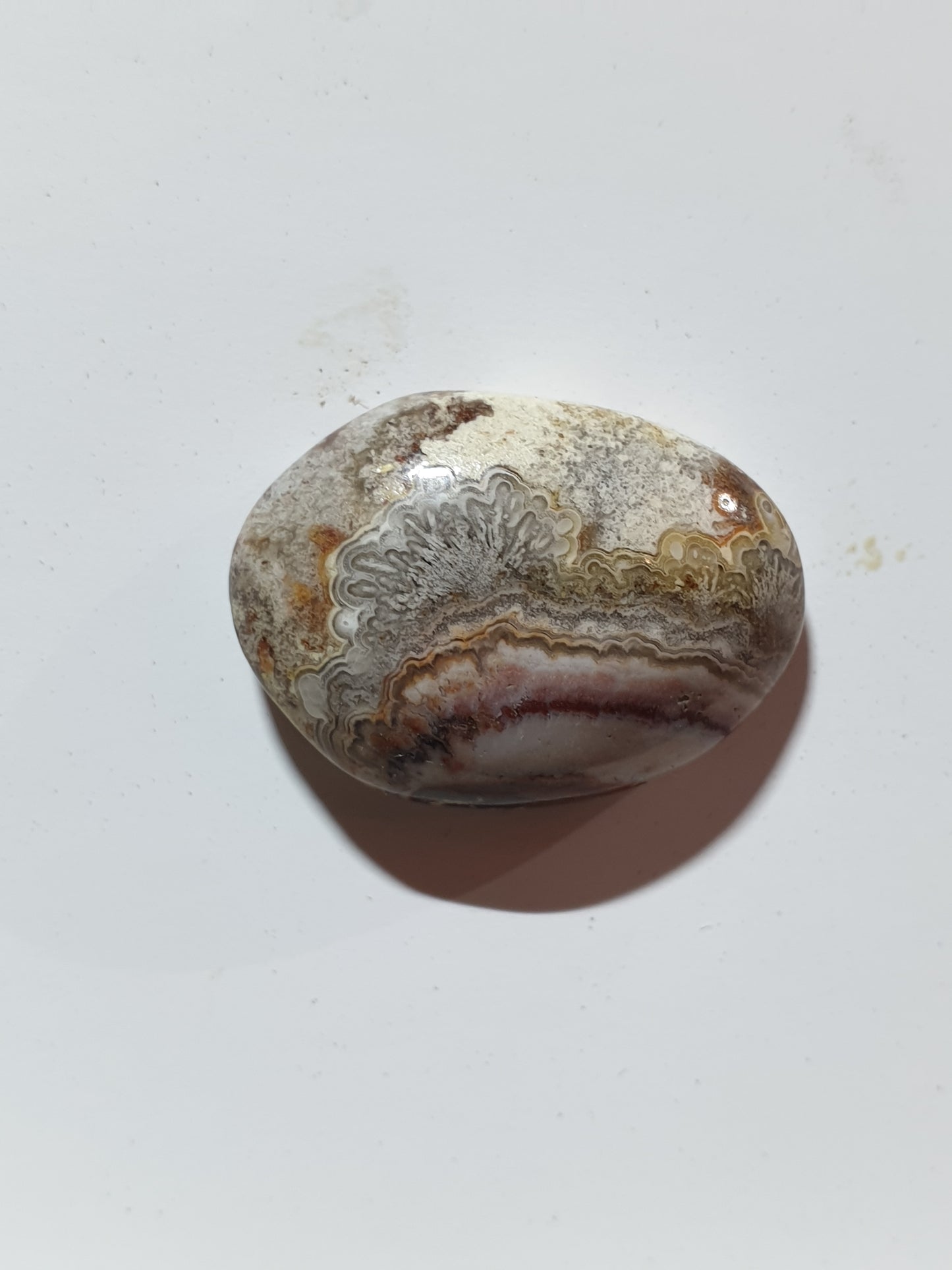 19ct Mexican crazy lace agate cabochon