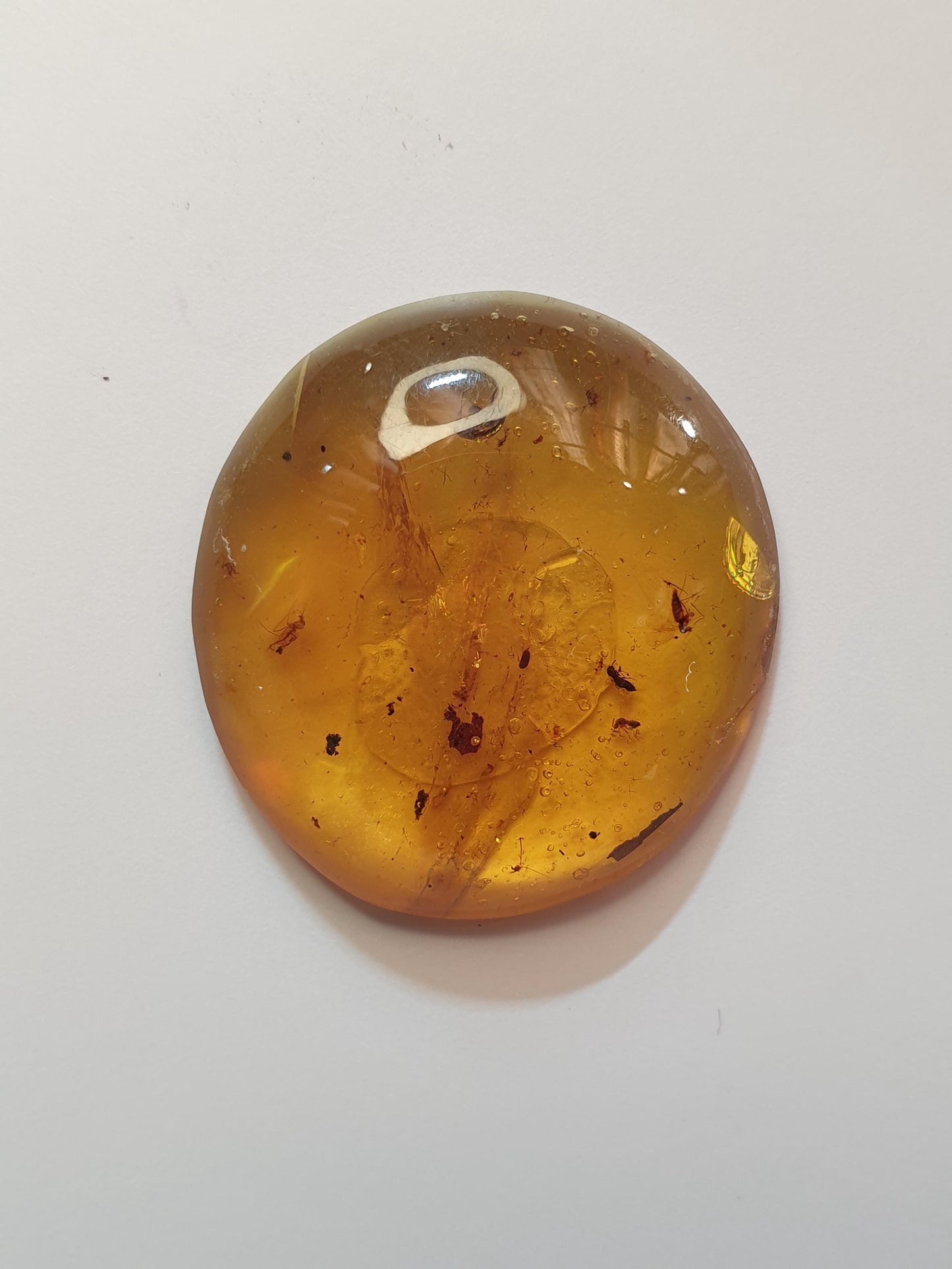 Burmese amber cabochon with multiple insect and plant inclusions