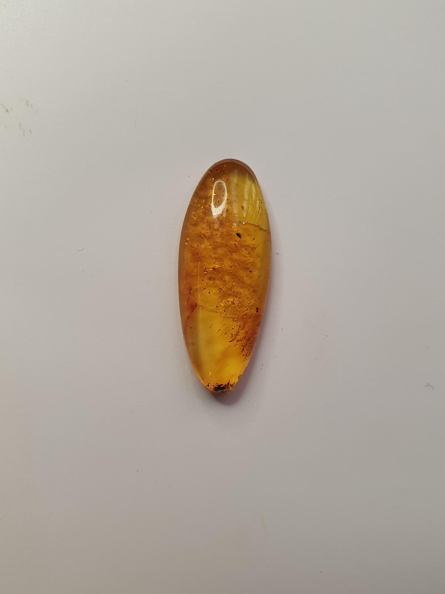 Baltic amber cabochon