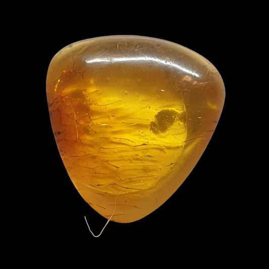 Baltic amber cabochon - Brighton Gemstones