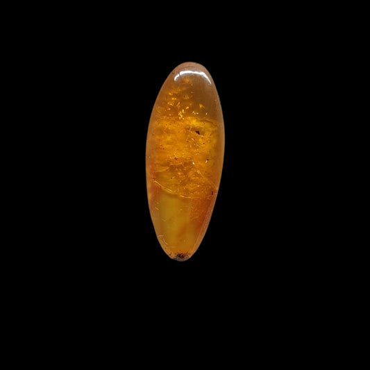 Baltic amber cabochon