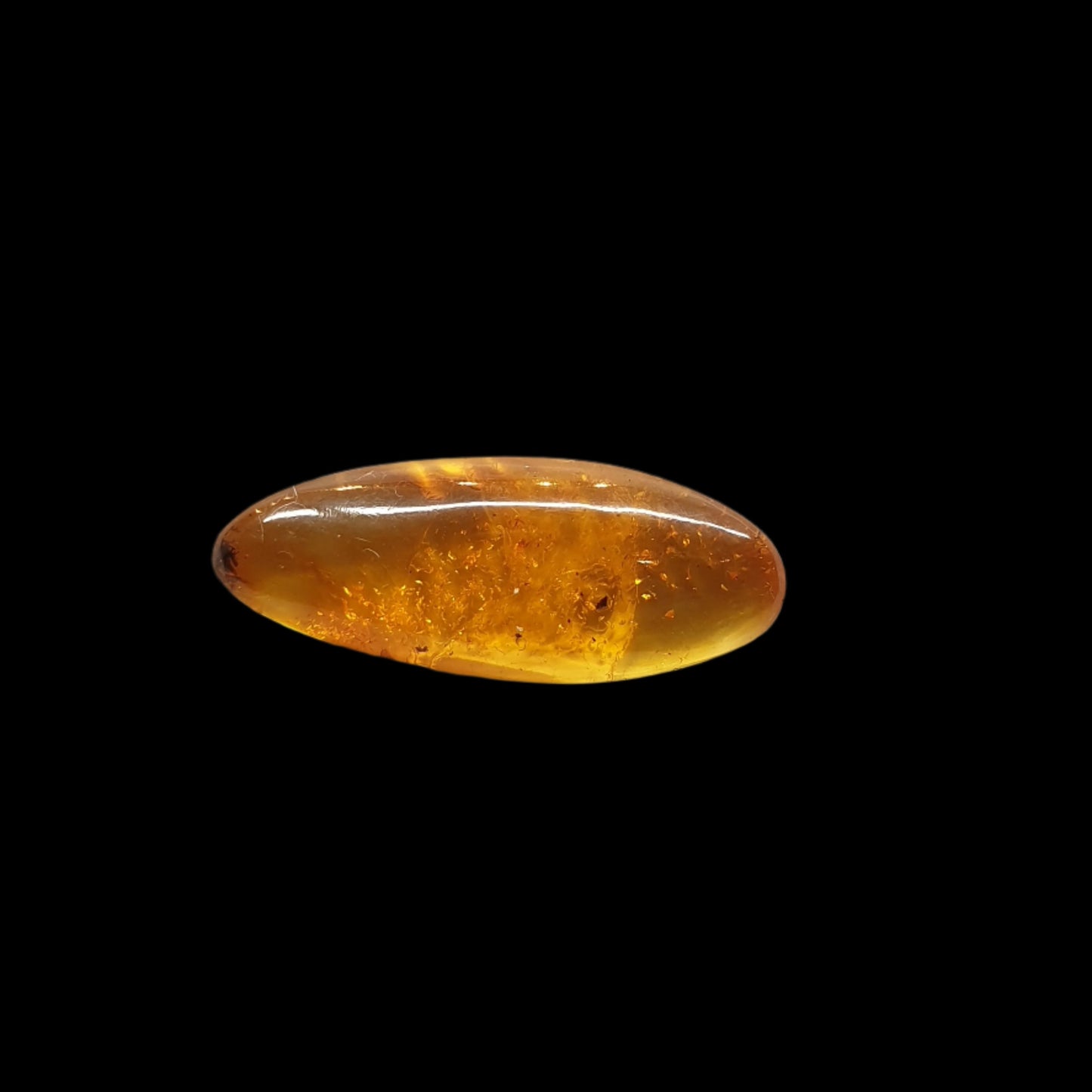 Baltic amber cabochon