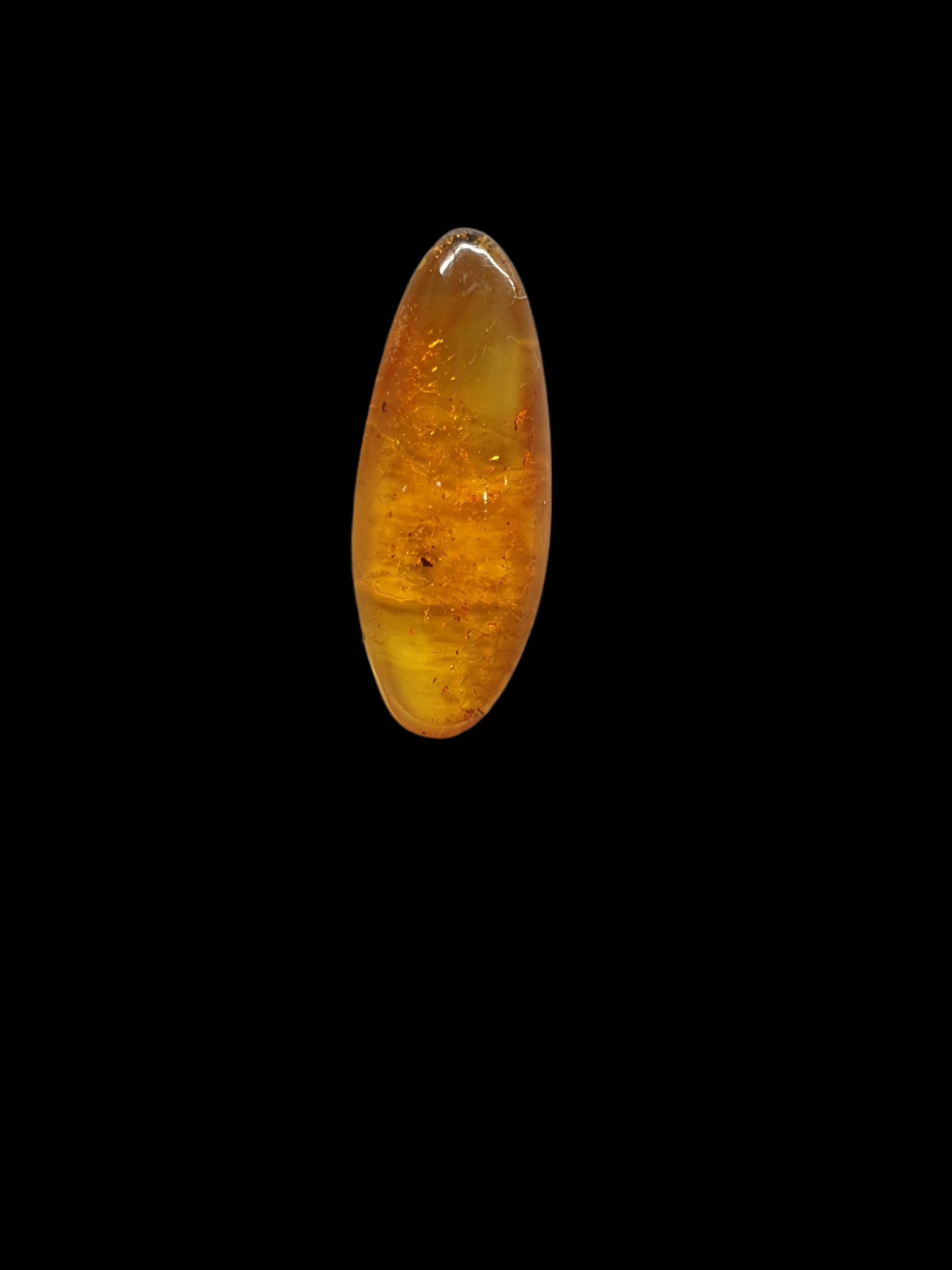 Baltic amber cabochon