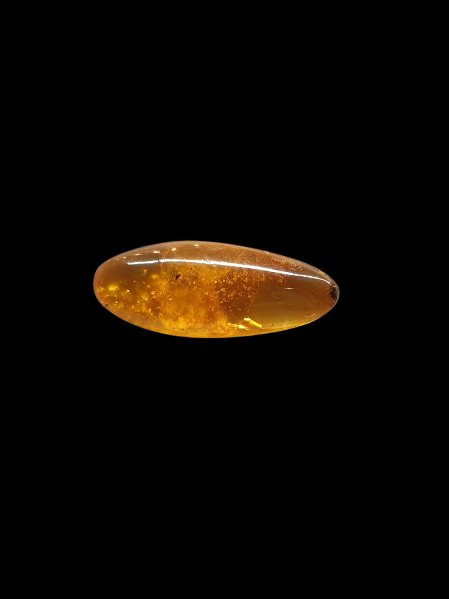 Baltic amber cabochon