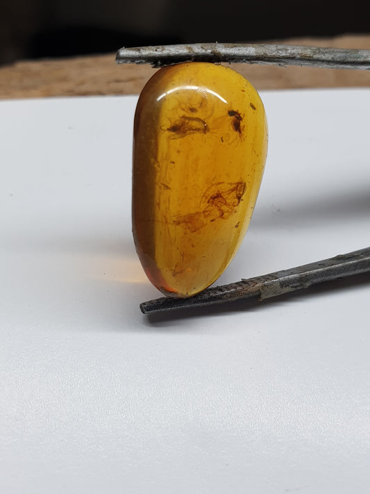 Burmese amber cabochon with insect inclusions