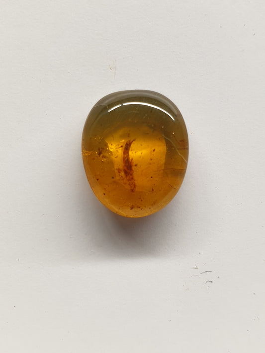 Burmese amber cabochon with insect inclusion