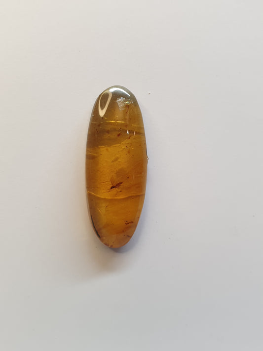 Burmese amber cabochon with fly inside