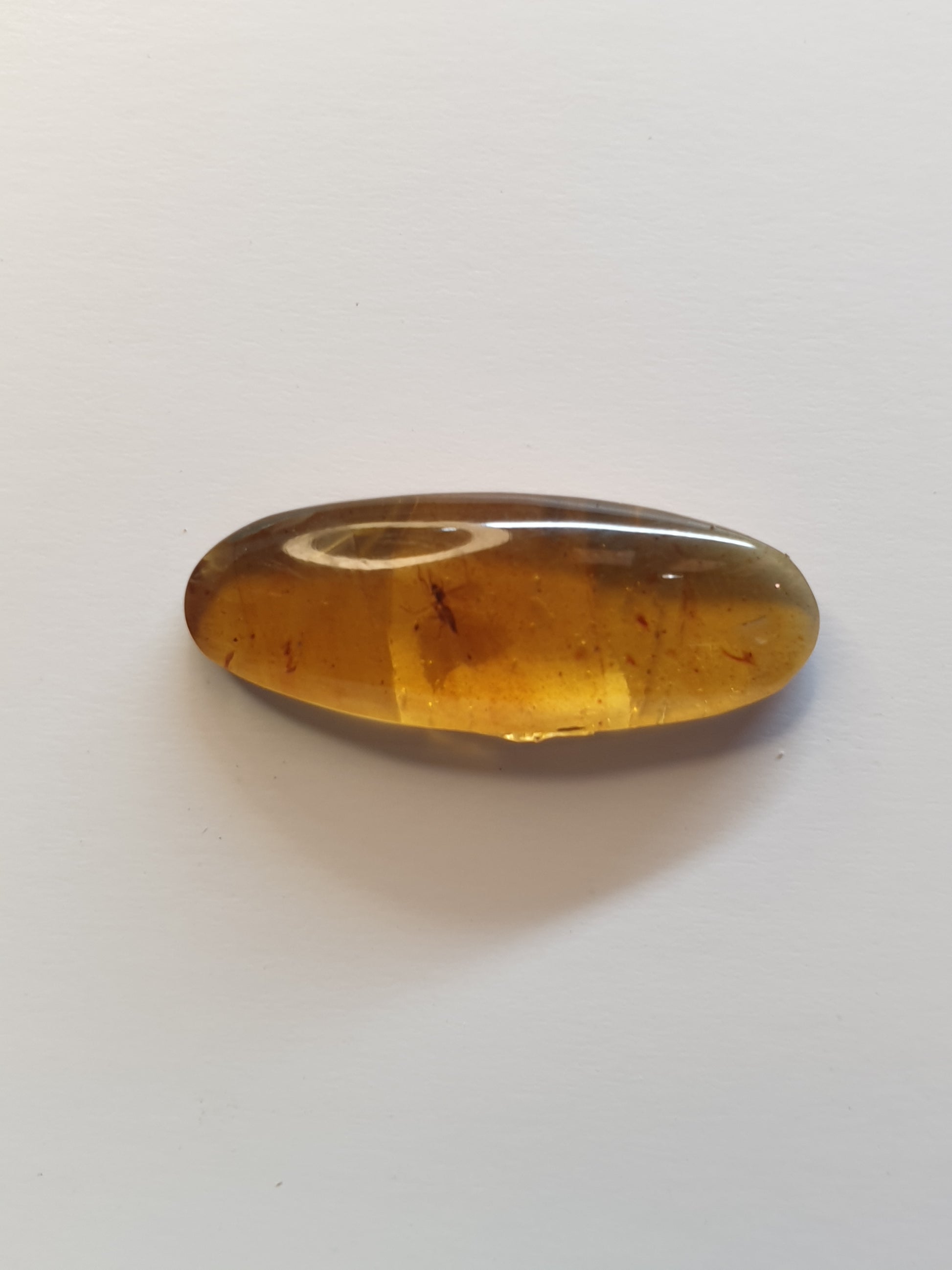 Burmese amber cabochon with fly inside - Brighton Gemstones
