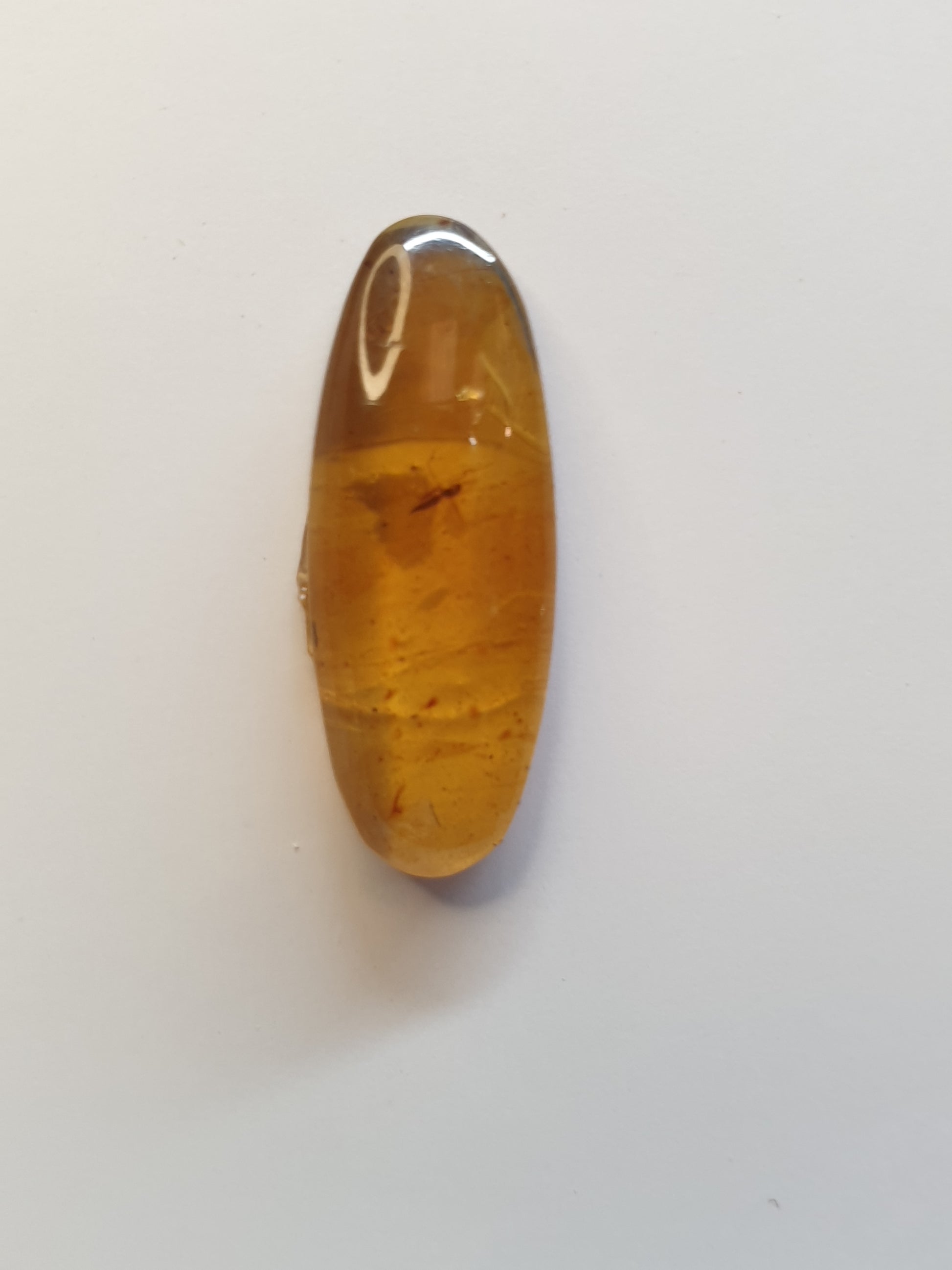 Burmese amber cabochon with fly inside - Brighton Gemstones