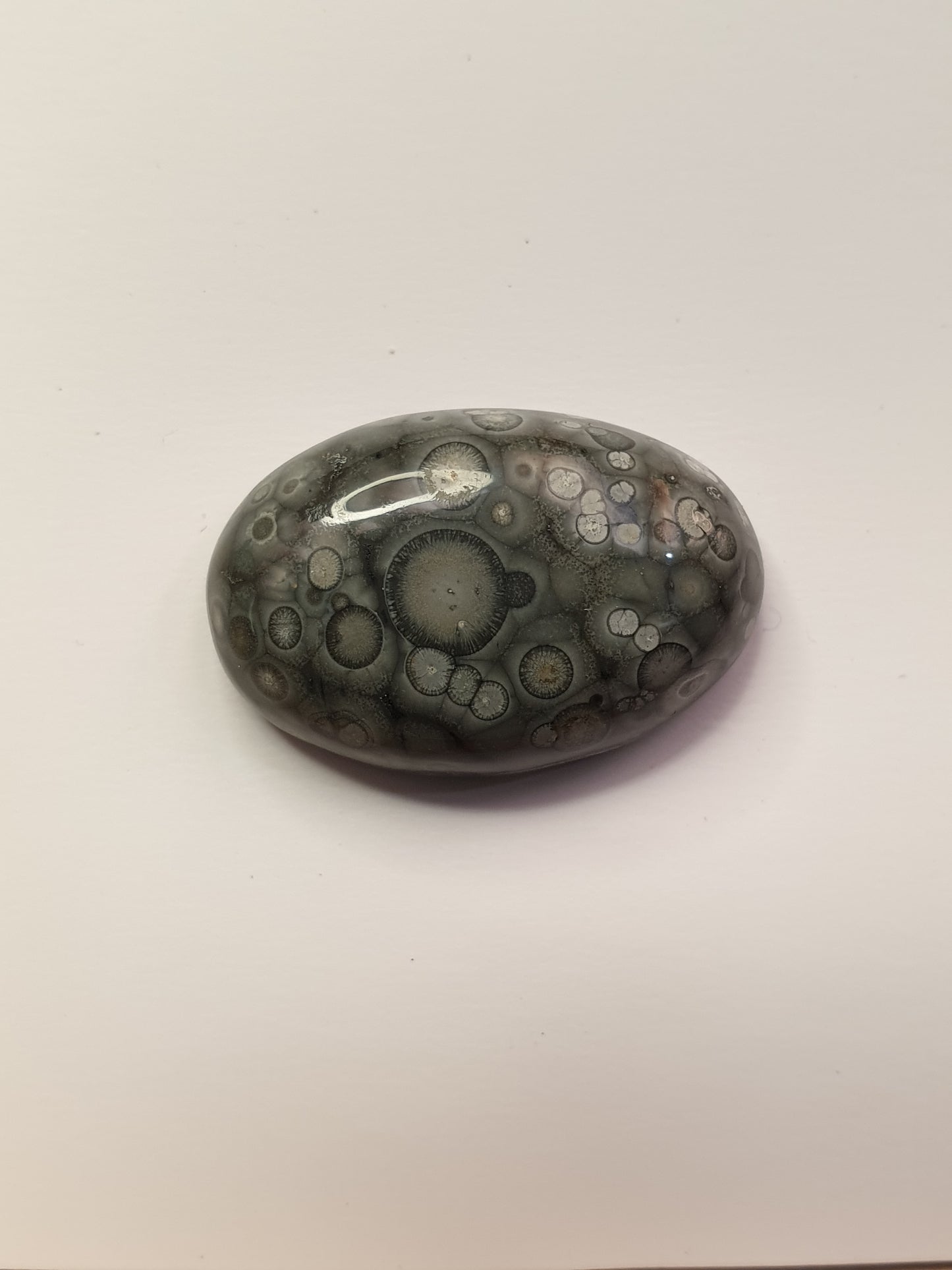 21ct Orbicular Rhyolite cabochon - Brighton Gemstones