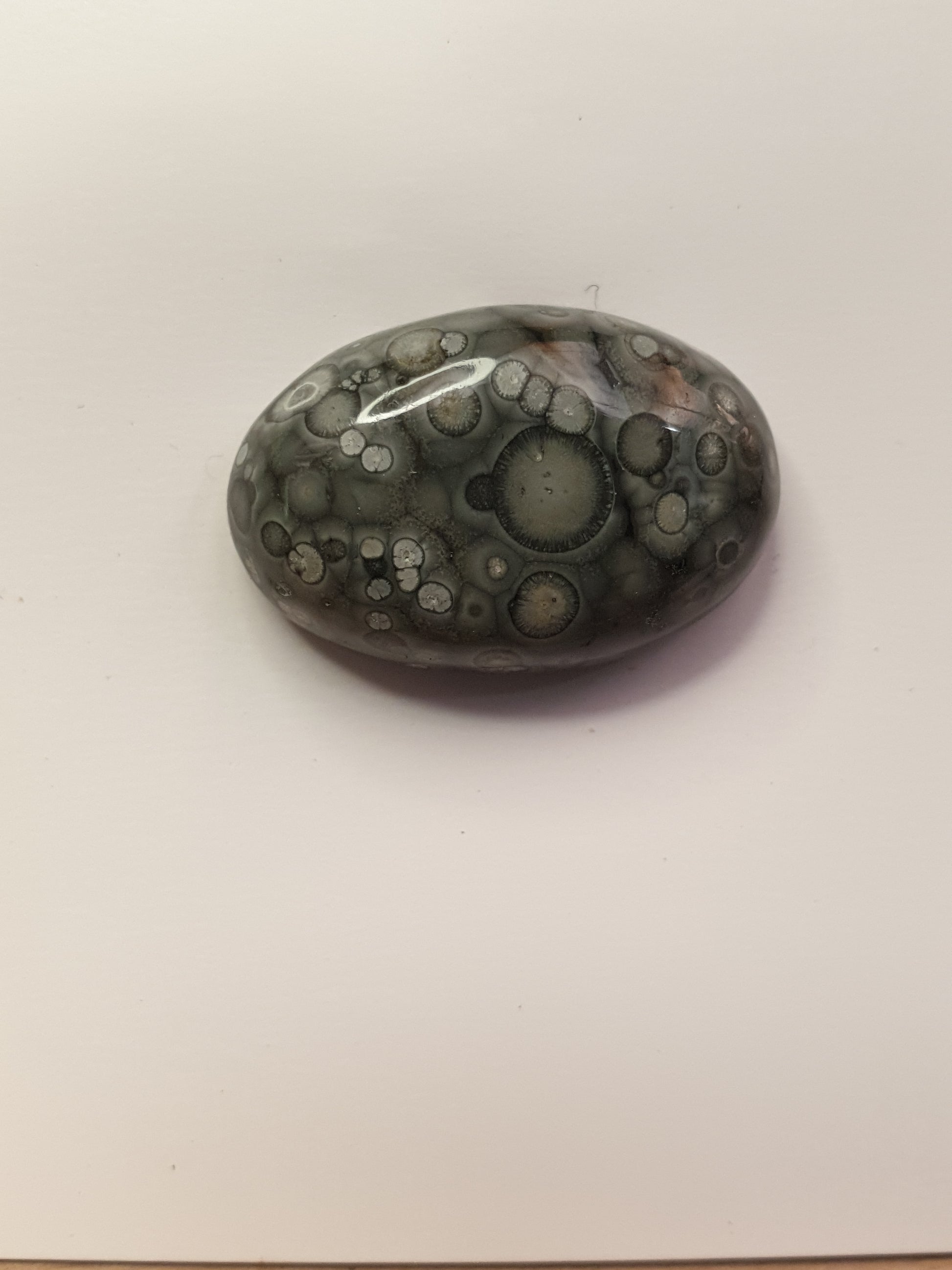 21ct Orbicular Rhyolite cabochon - Brighton Gemstones