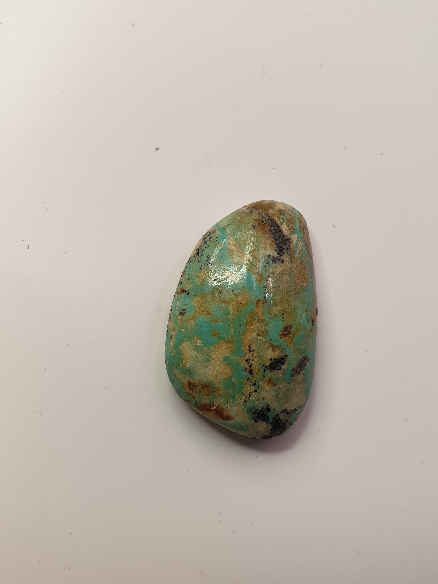 16ct Desert Blossom Turquoise freeform Cabochon (Backed) - Brighton Gemstones