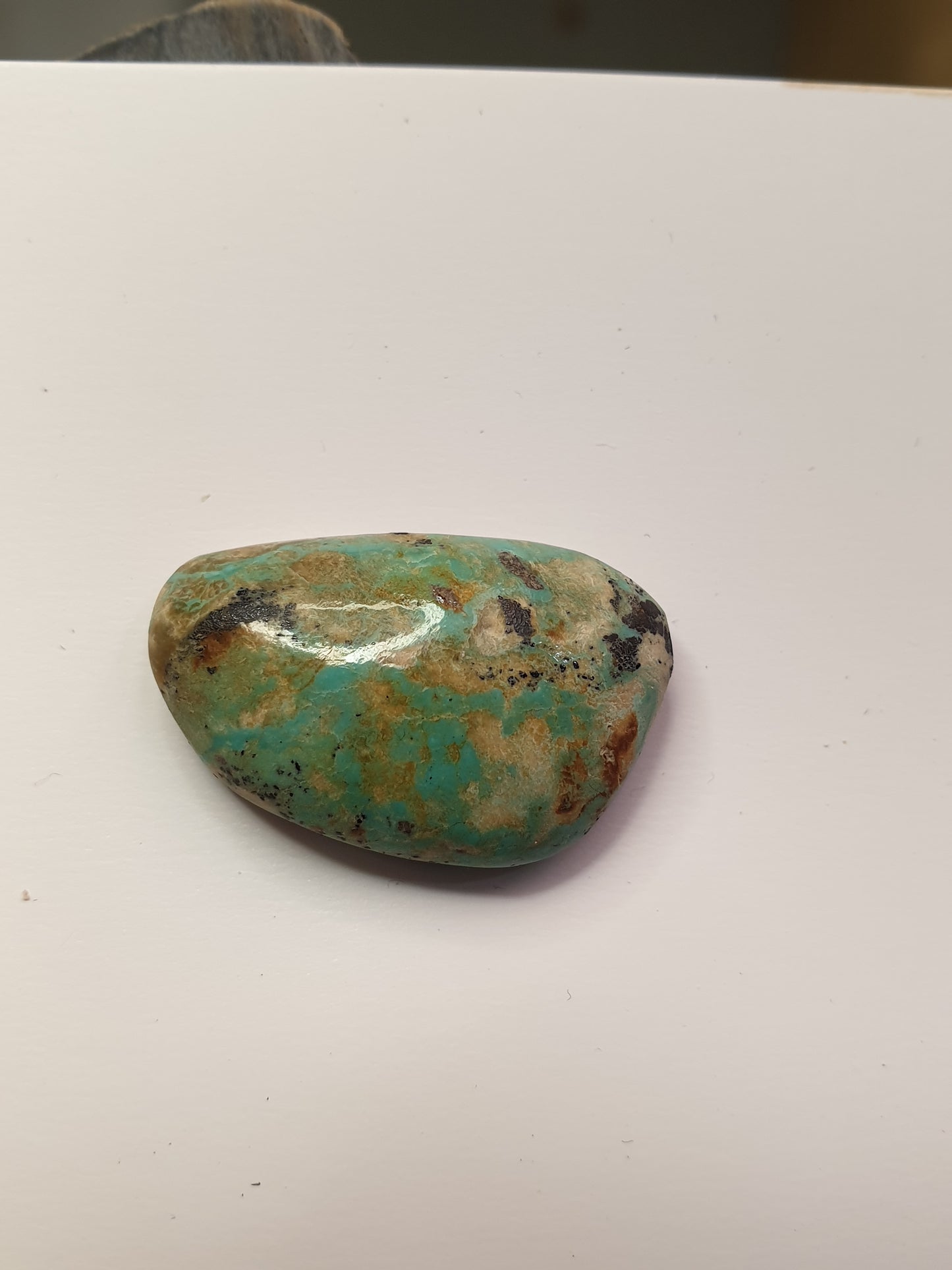 16ct Desert Blossom Turquoise freeform Cabochon (Backed) - Brighton Gemstones