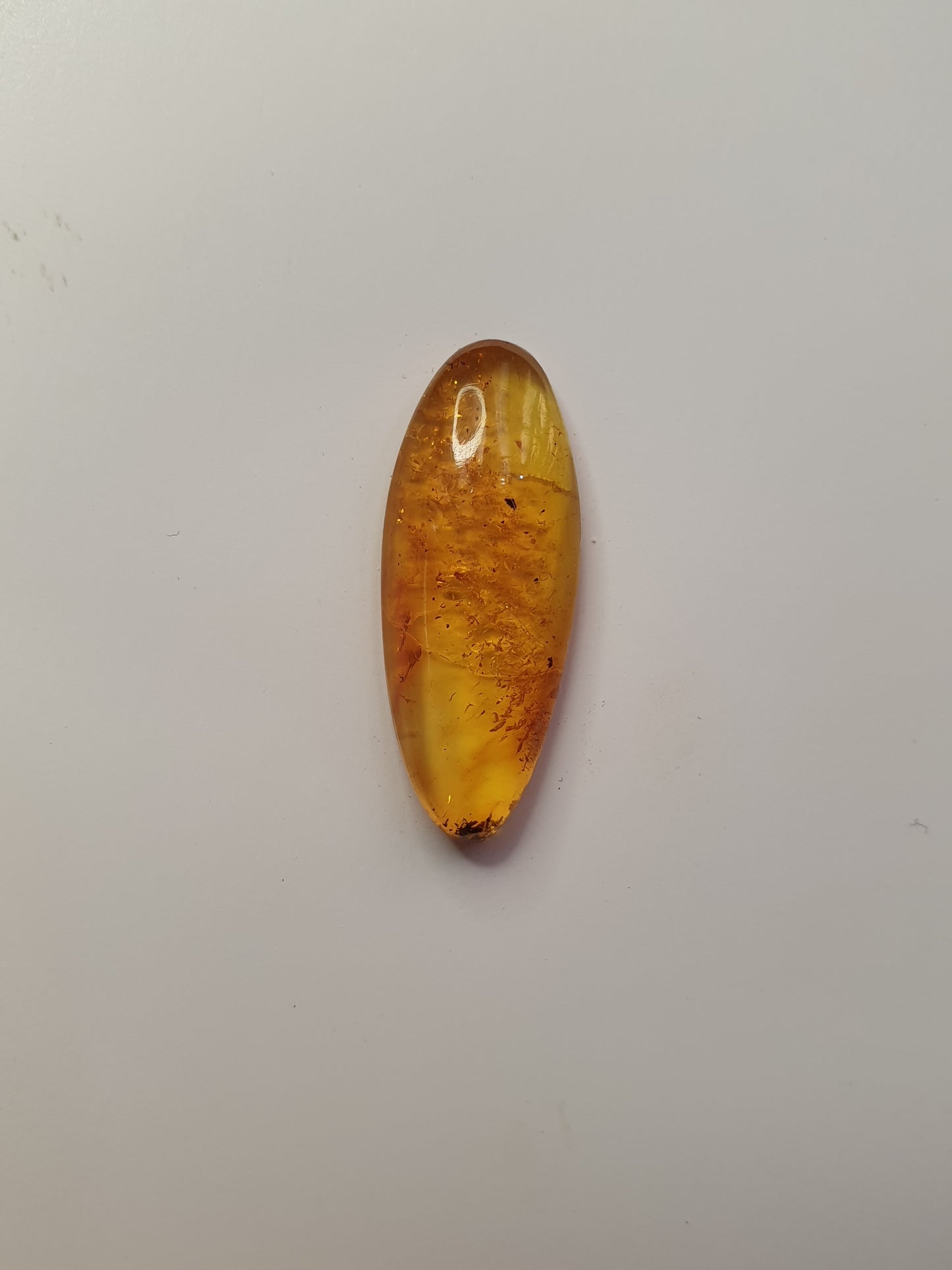 Baltic amber cabochon - Brighton Gemstones