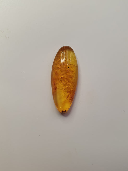 Baltic amber cabochon - Brighton Gemstones
