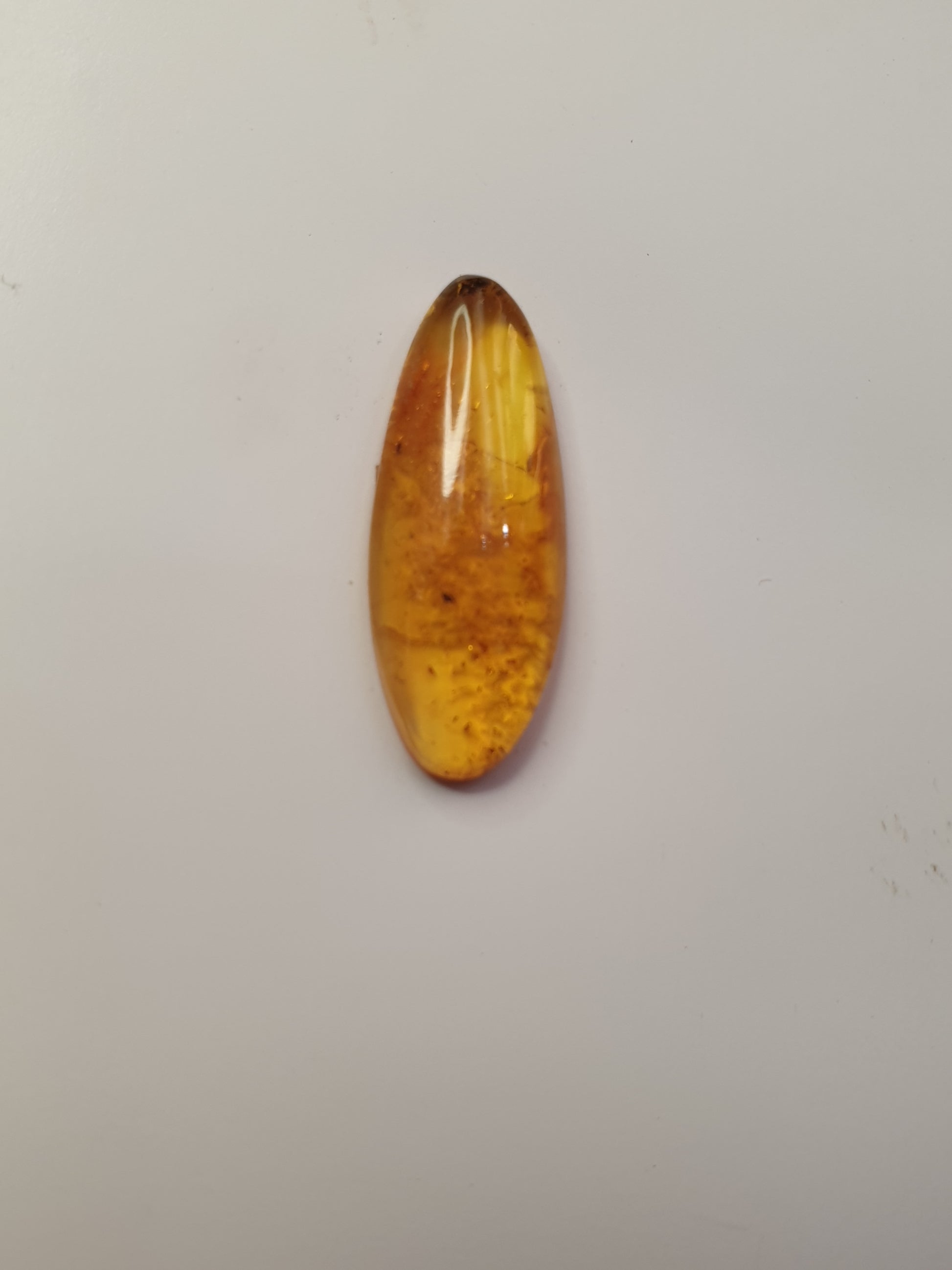 Baltic amber cabochon - Brighton Gemstones