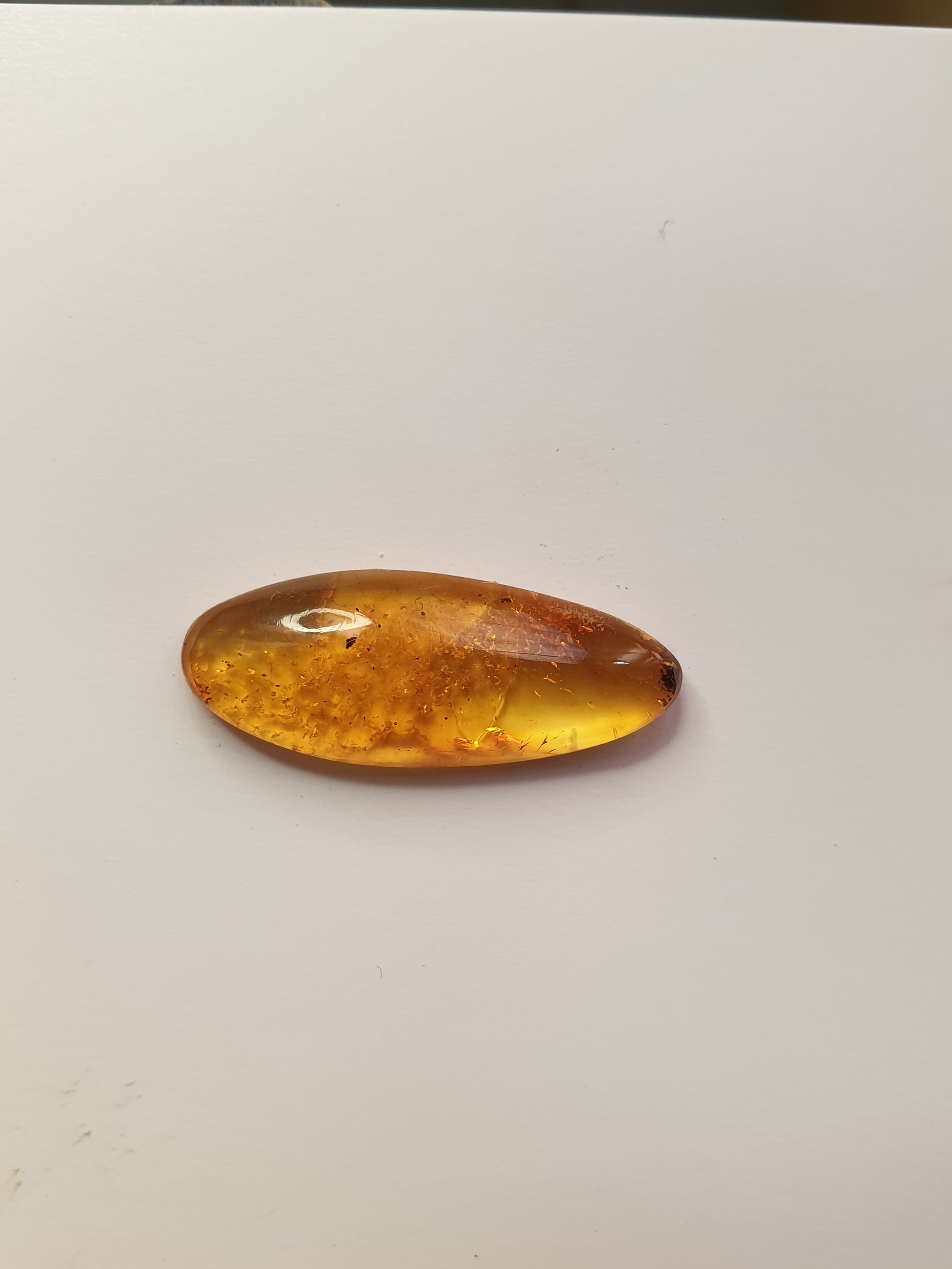 Baltic amber cabochon - Brighton Gemstones