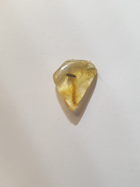 Copal with flower stamen inclusion ( amber)