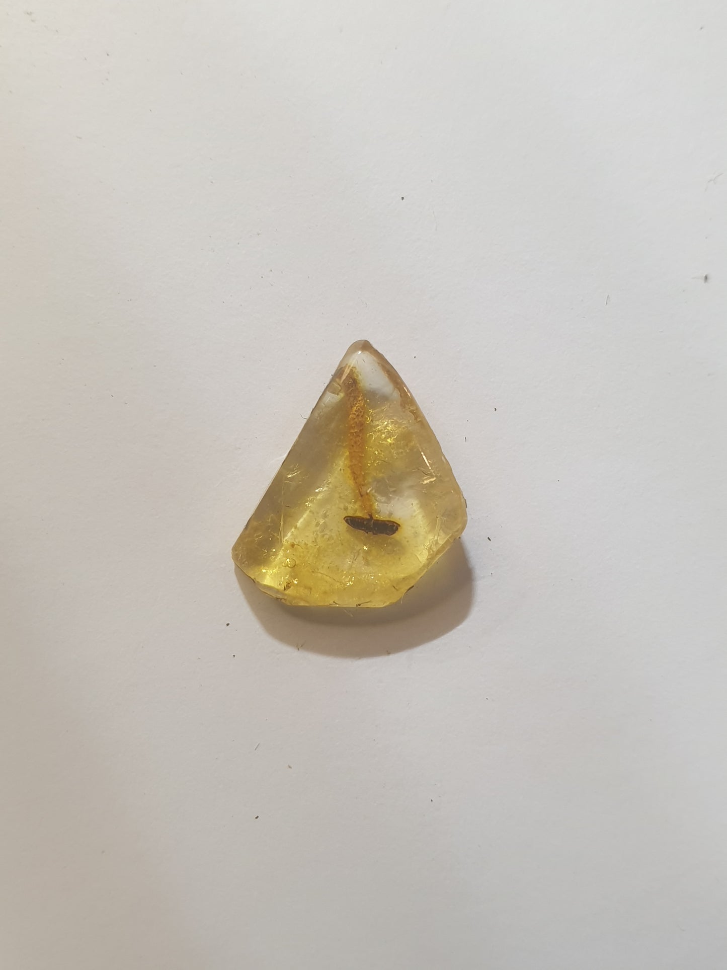 Copal with flower stamen inclusion ( amber)