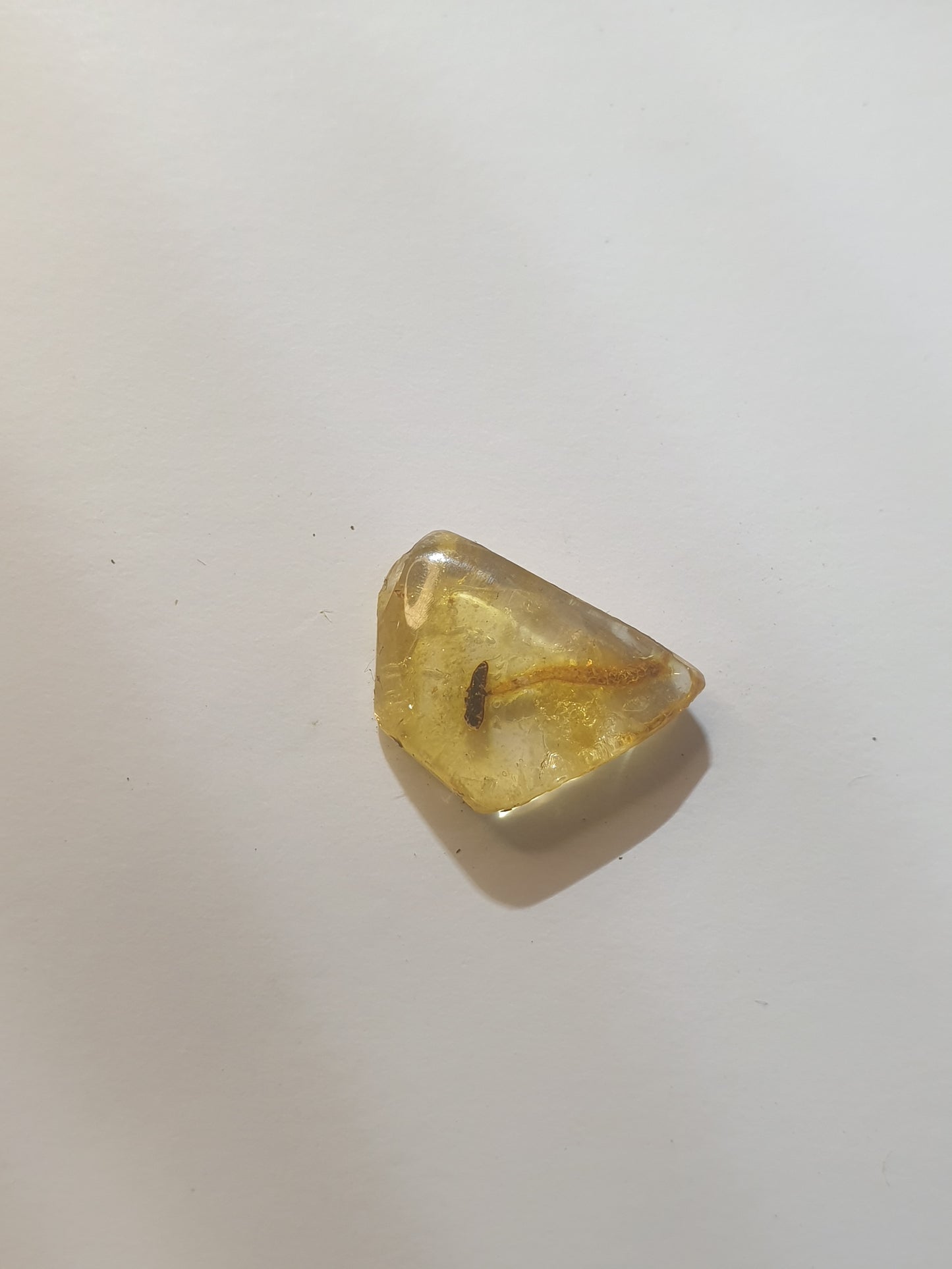 Copal with flower stamen inclusion ( amber)
