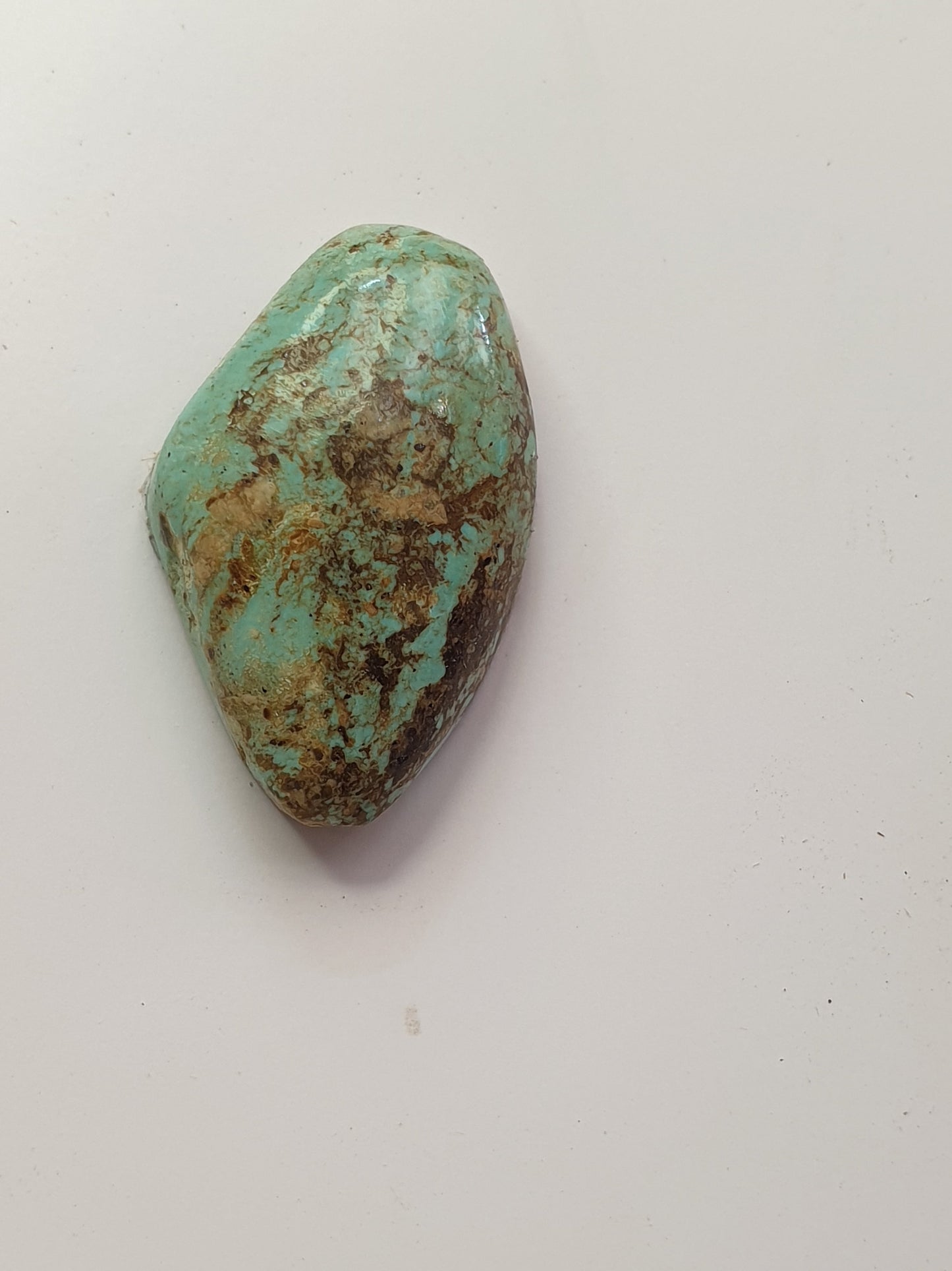 13ct Desert Blossom Turquoise freeform Cabochon (Backed)