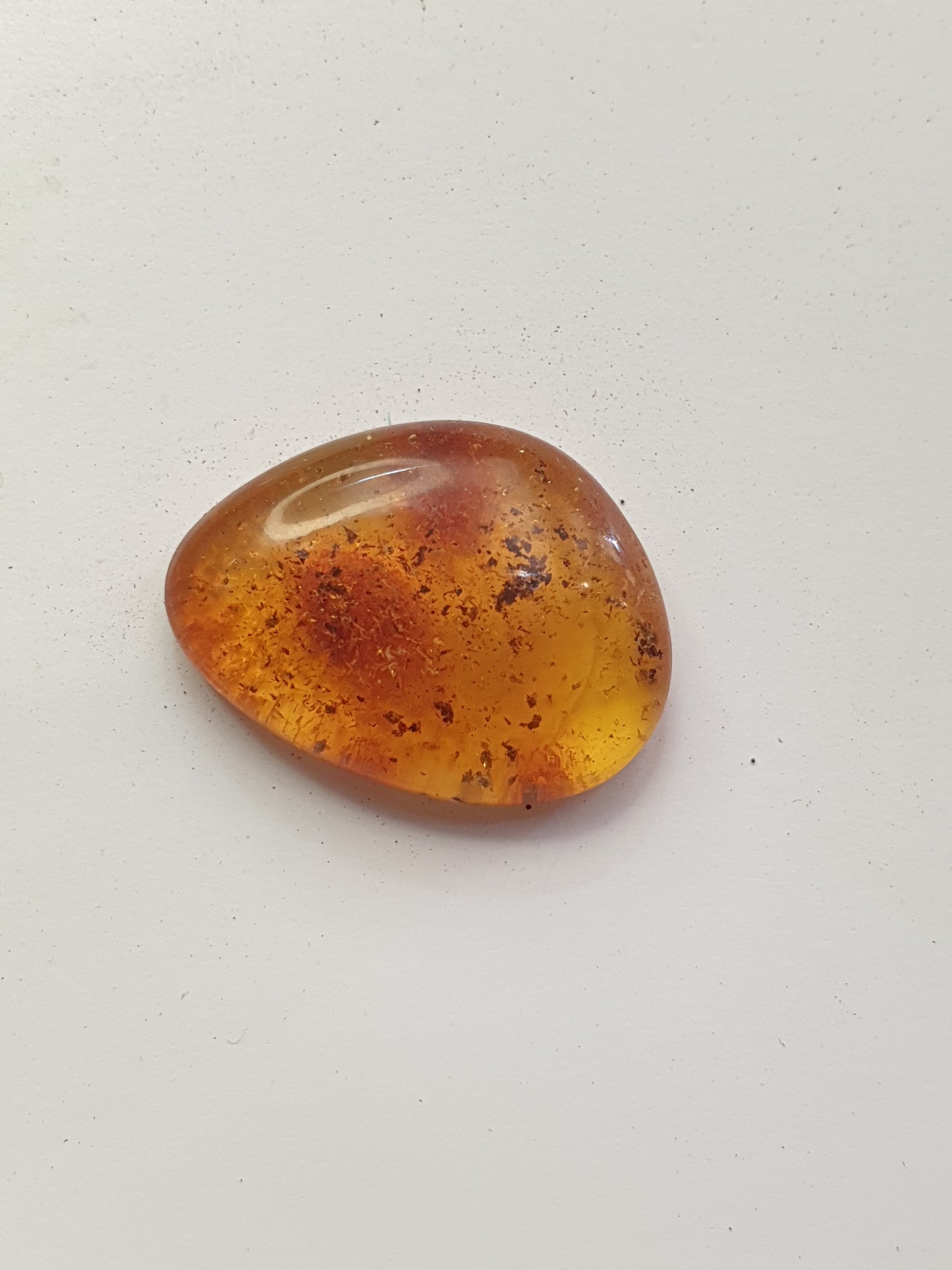 Baltic amber cabochon