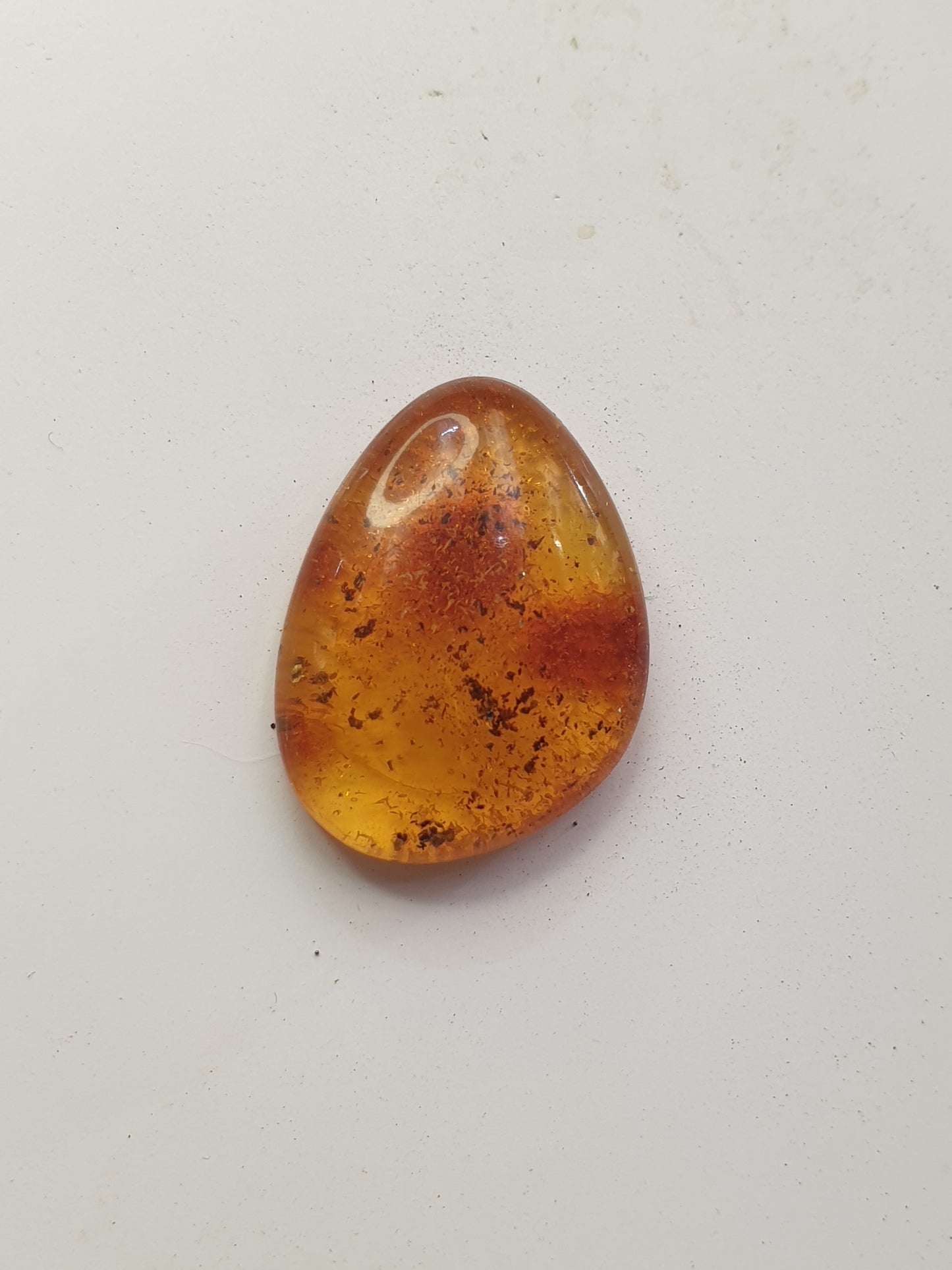 Baltic amber cabochon