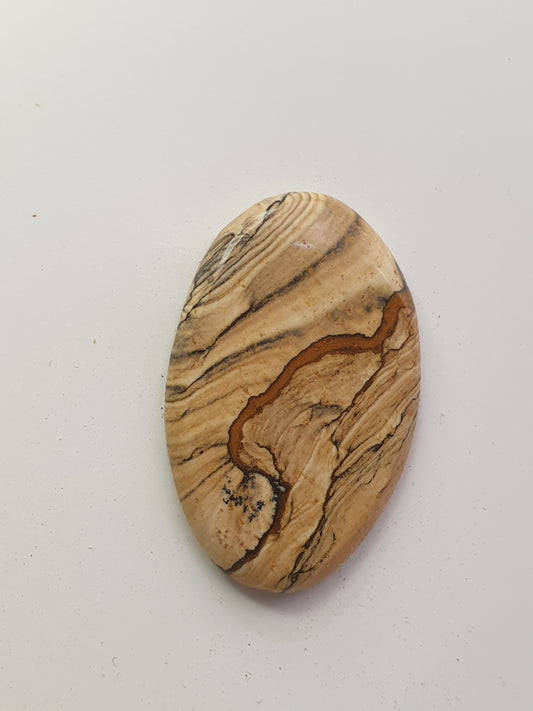 18.5ct Biggs Picture Jasper cabochon
