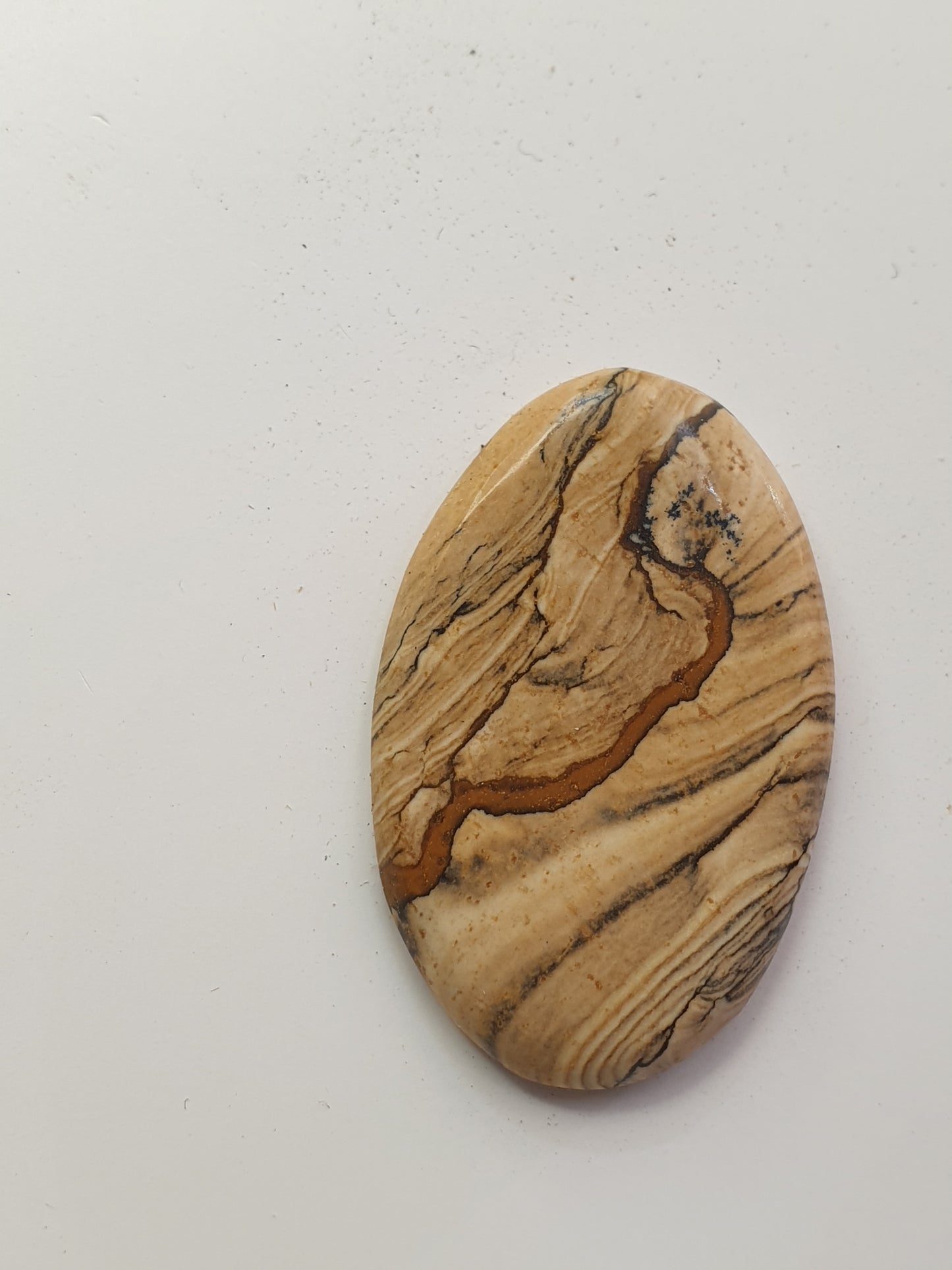 18.5ct Biggs Picture Jasper cabochon