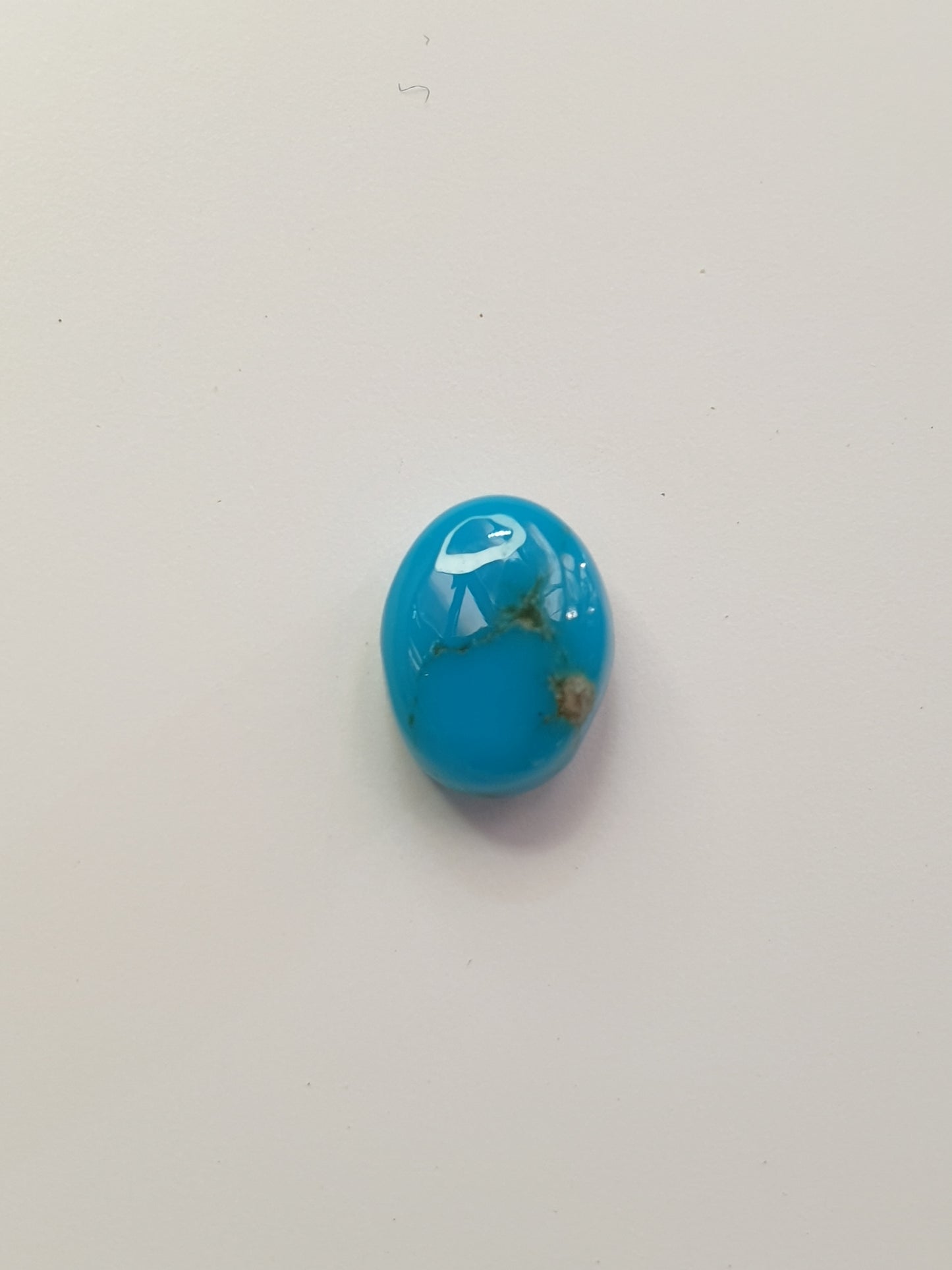 1.5ct Campitos turquoise cabochon (Stabilised)
