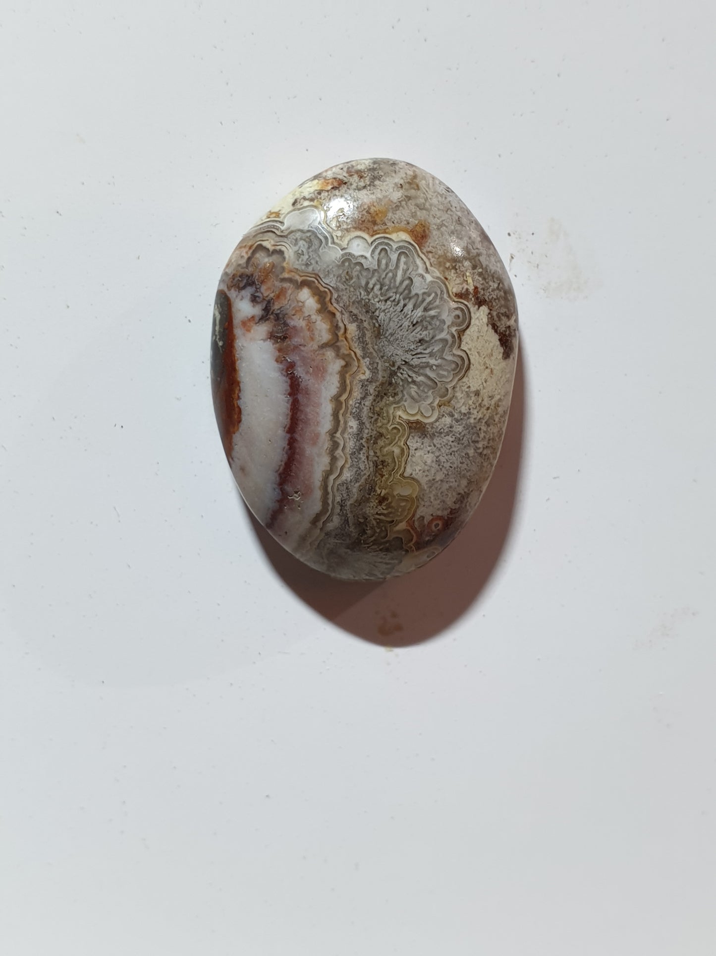 19ct Mexican crazy lace agate cabochon