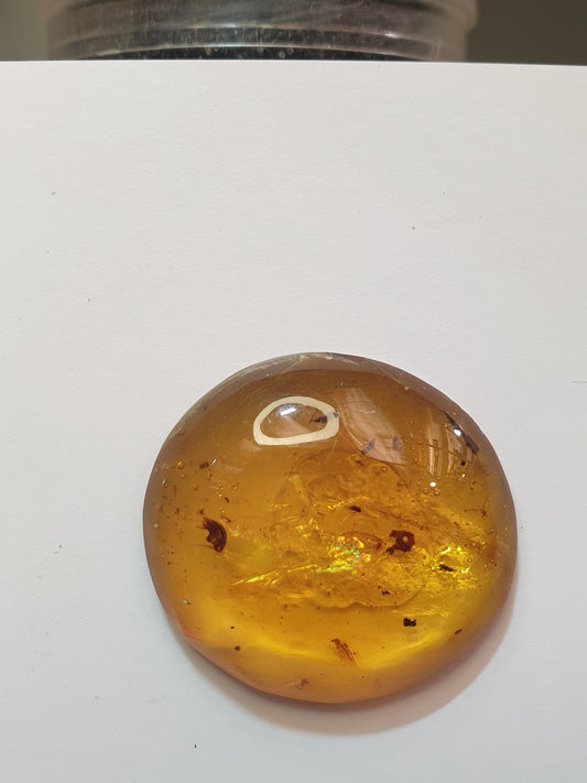 Burmese amber cabochon with multiple insect and plant inclusions