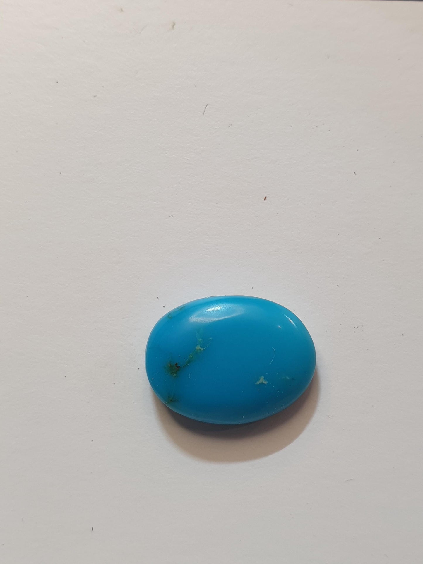 6ct Campitos turquoise cabochon