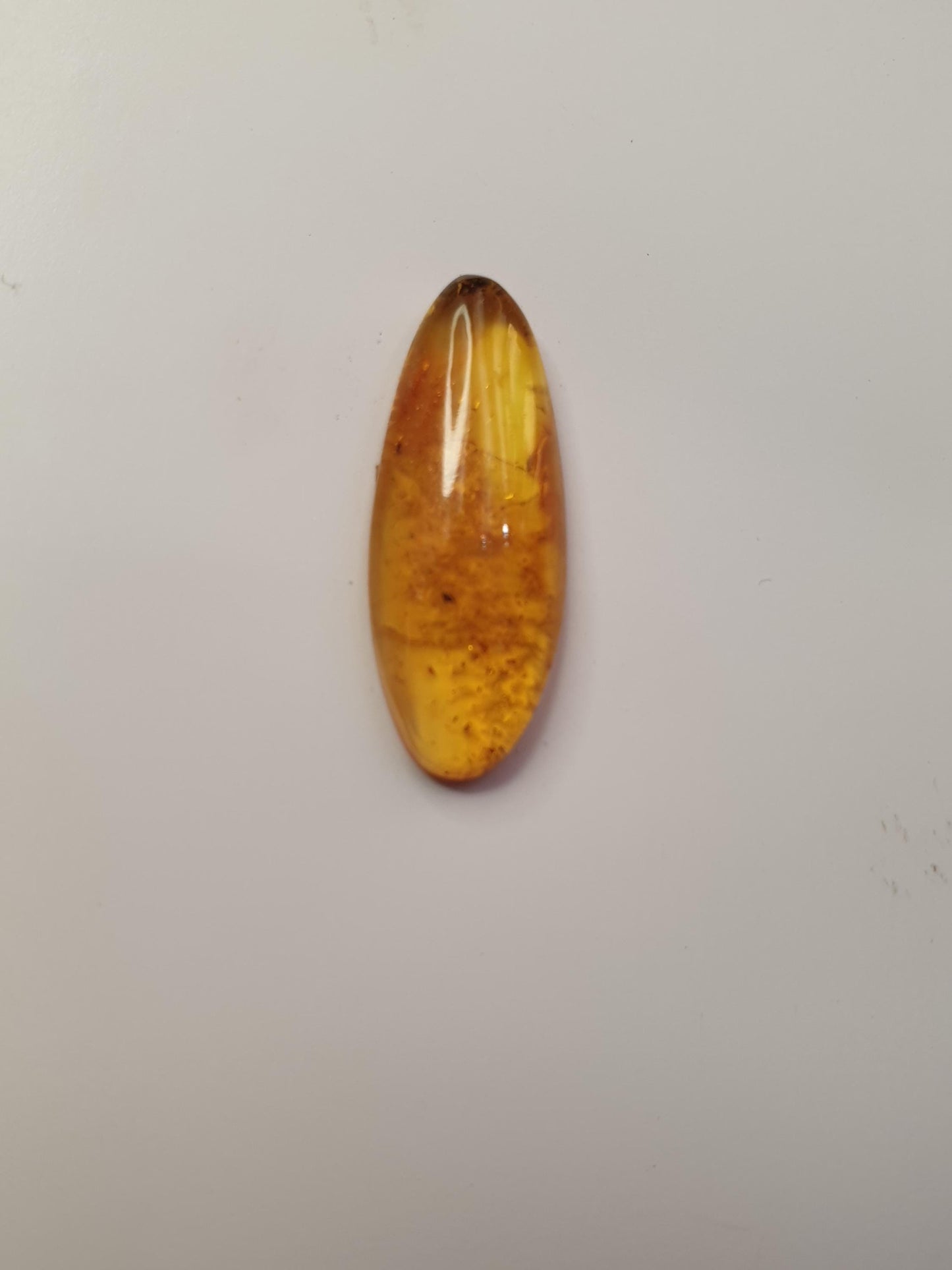 Baltic amber cabochon