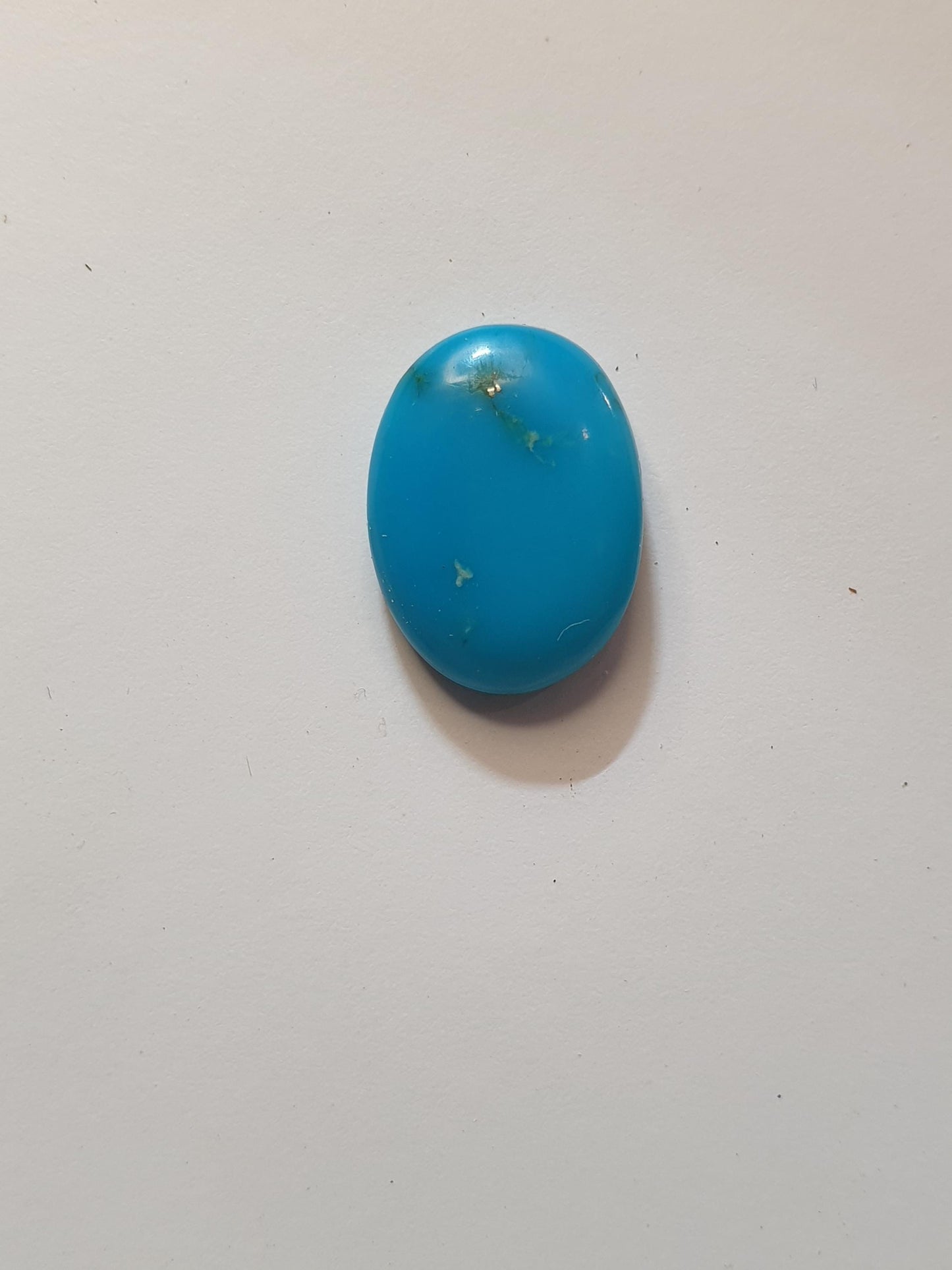 6ct Campitos turquoise cabochon