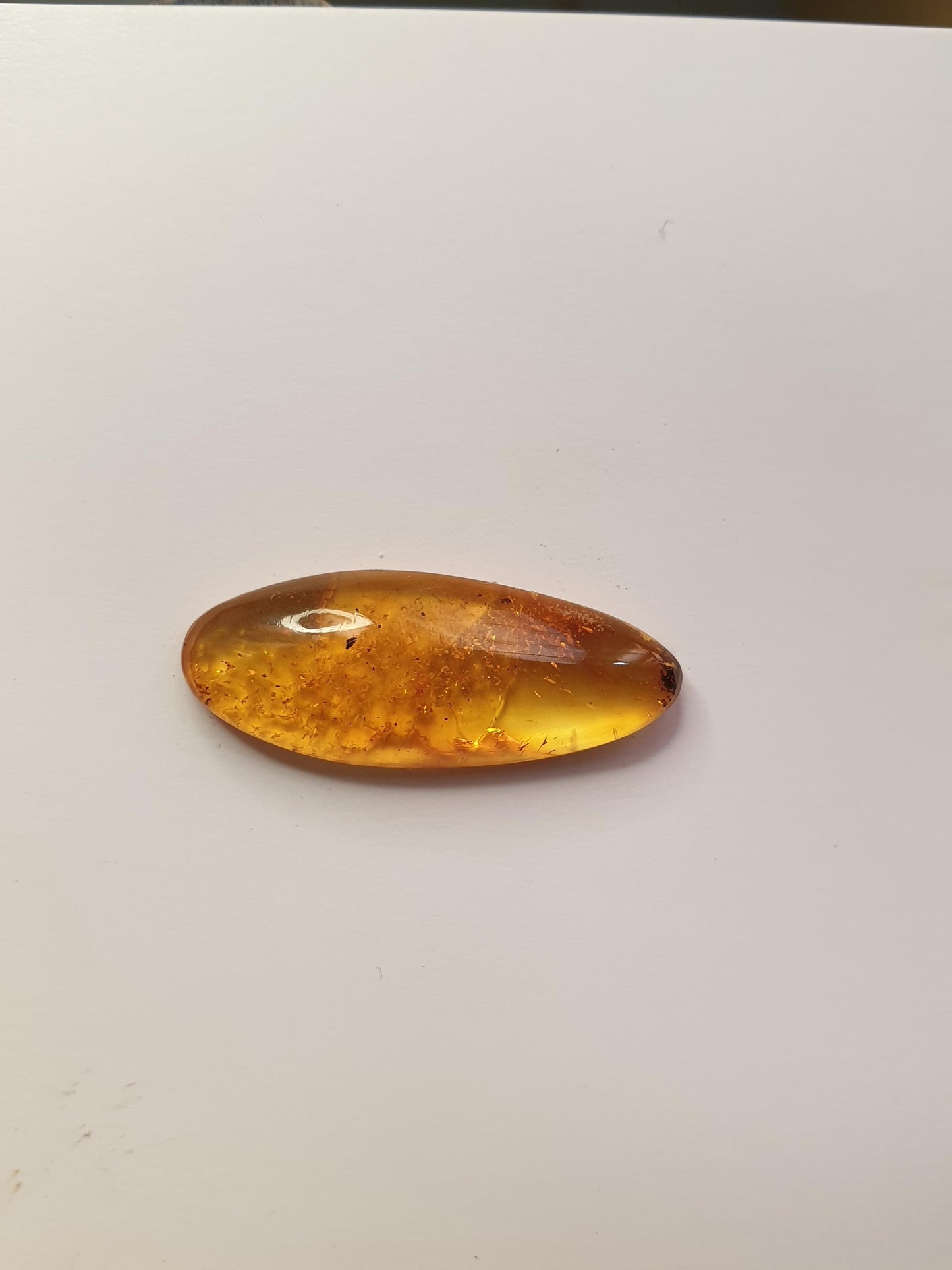 Baltic amber cabochon