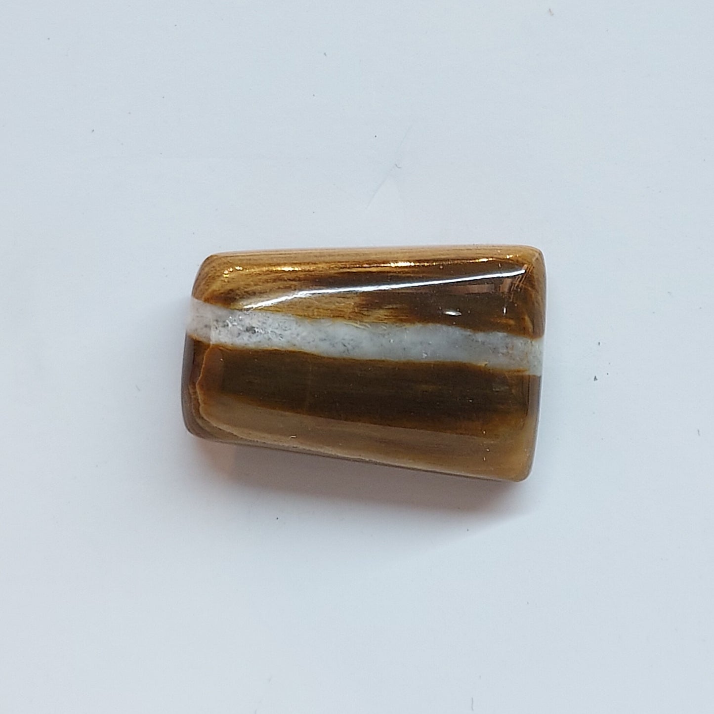 Petrified wood with quartz - Brighton Gemstones